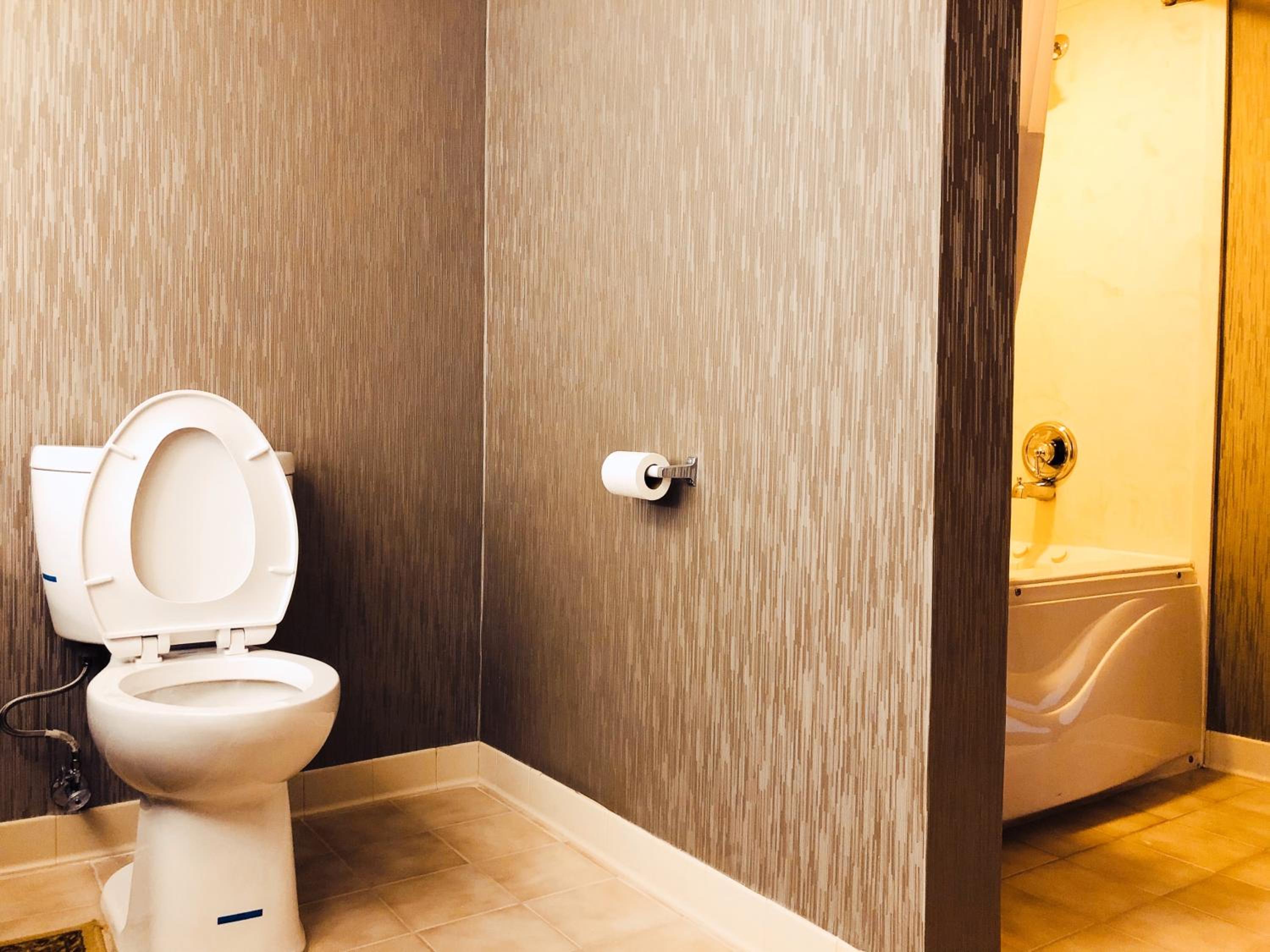 Comfort Inn  Suites Greenville Near Convention Center - Property Image 4