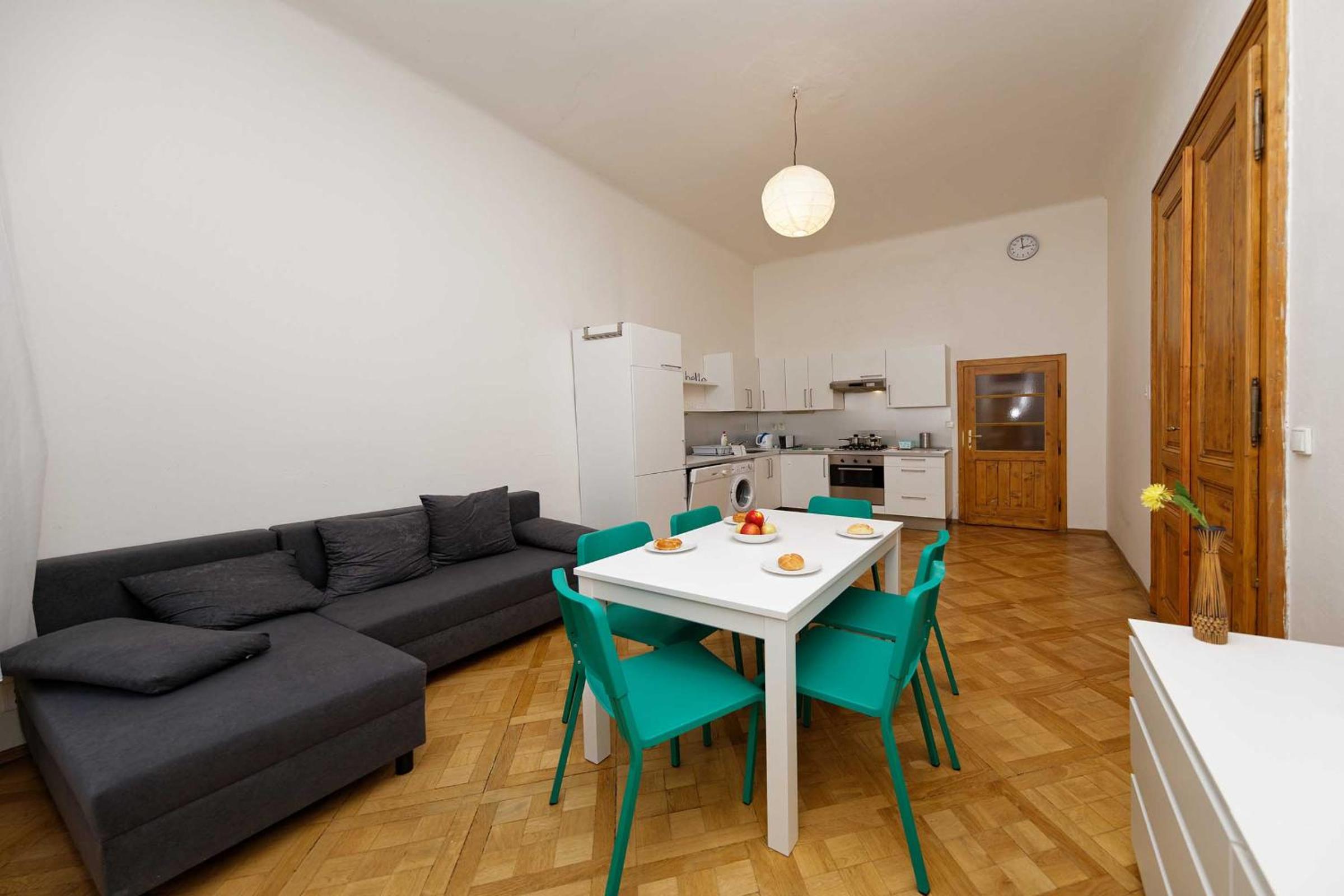 Apartment Manesova 4