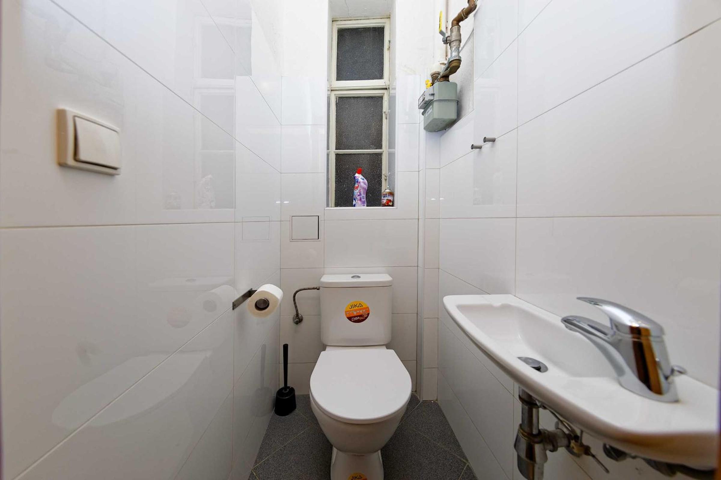 Apartment Manesova 4