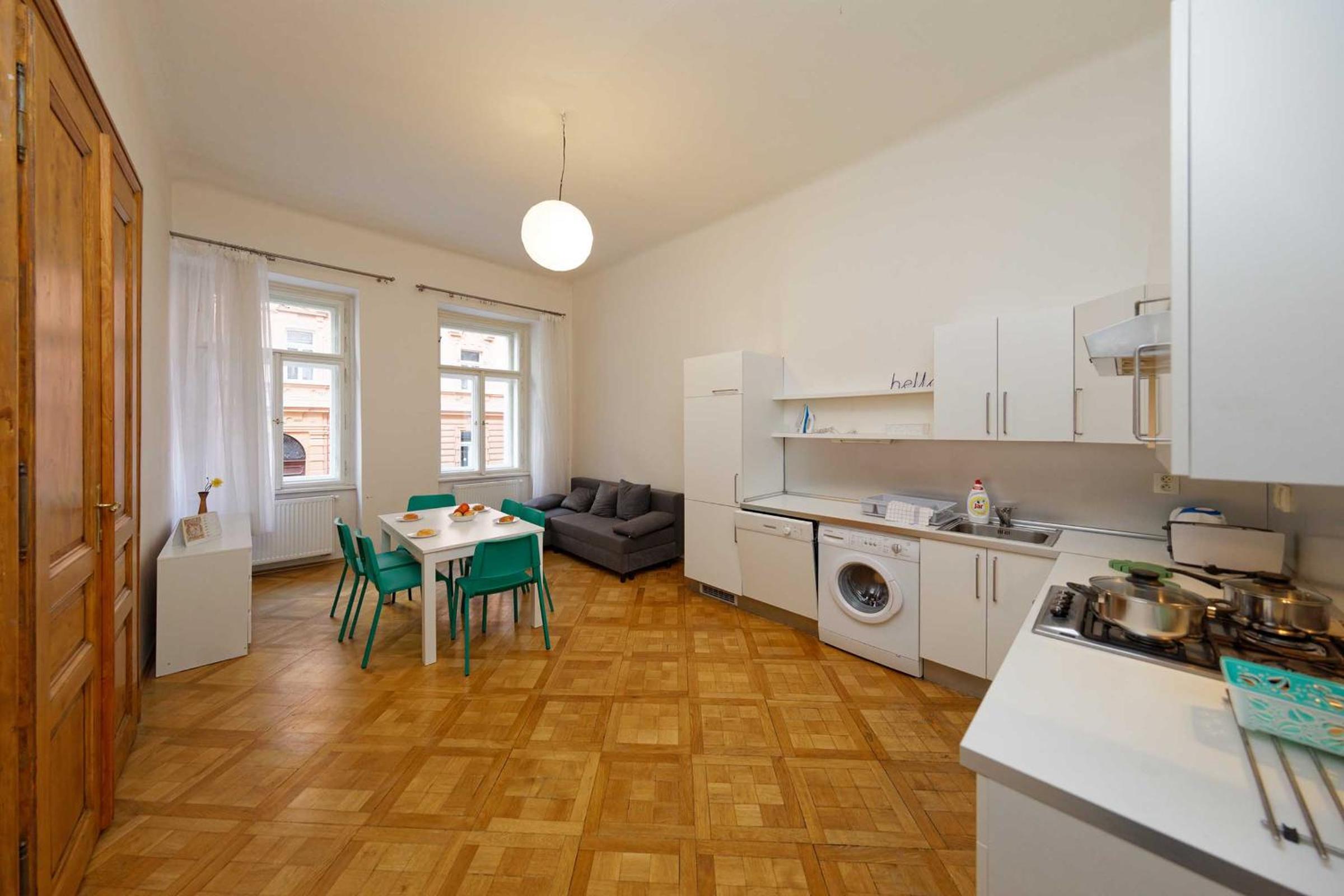 Apartment Manesova 4