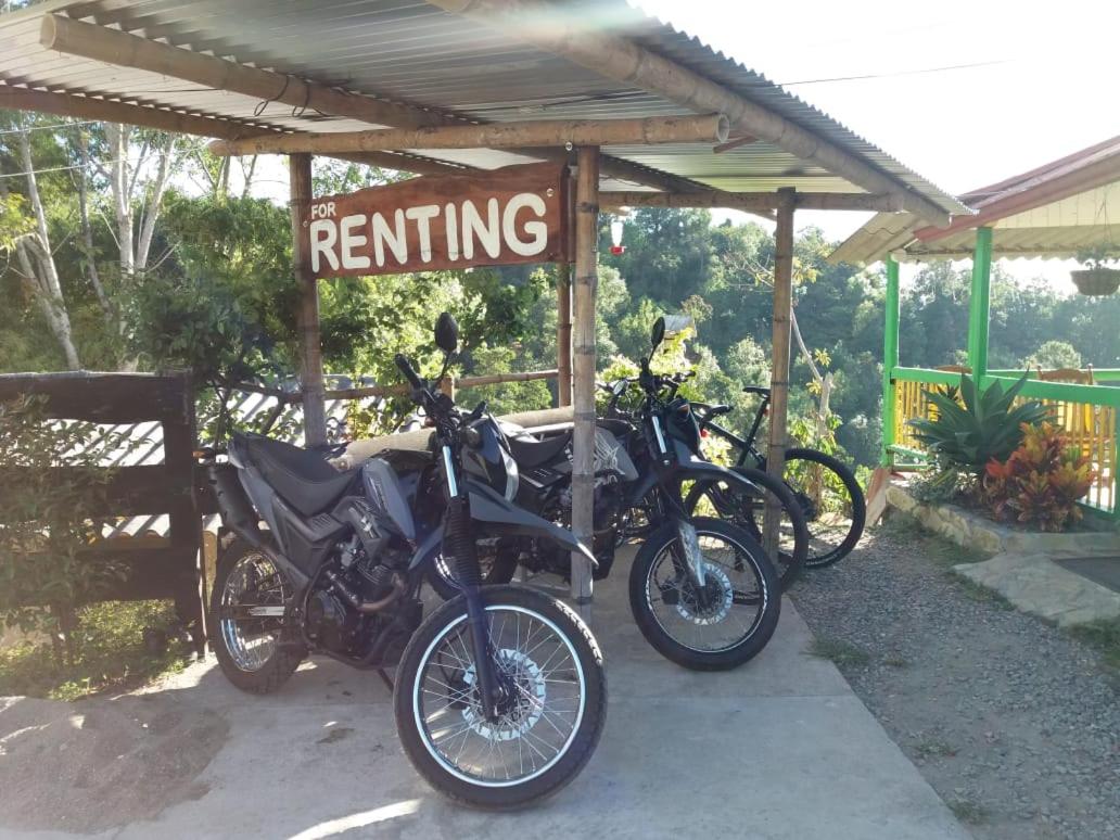 Hostal y Camping Los Girasoles