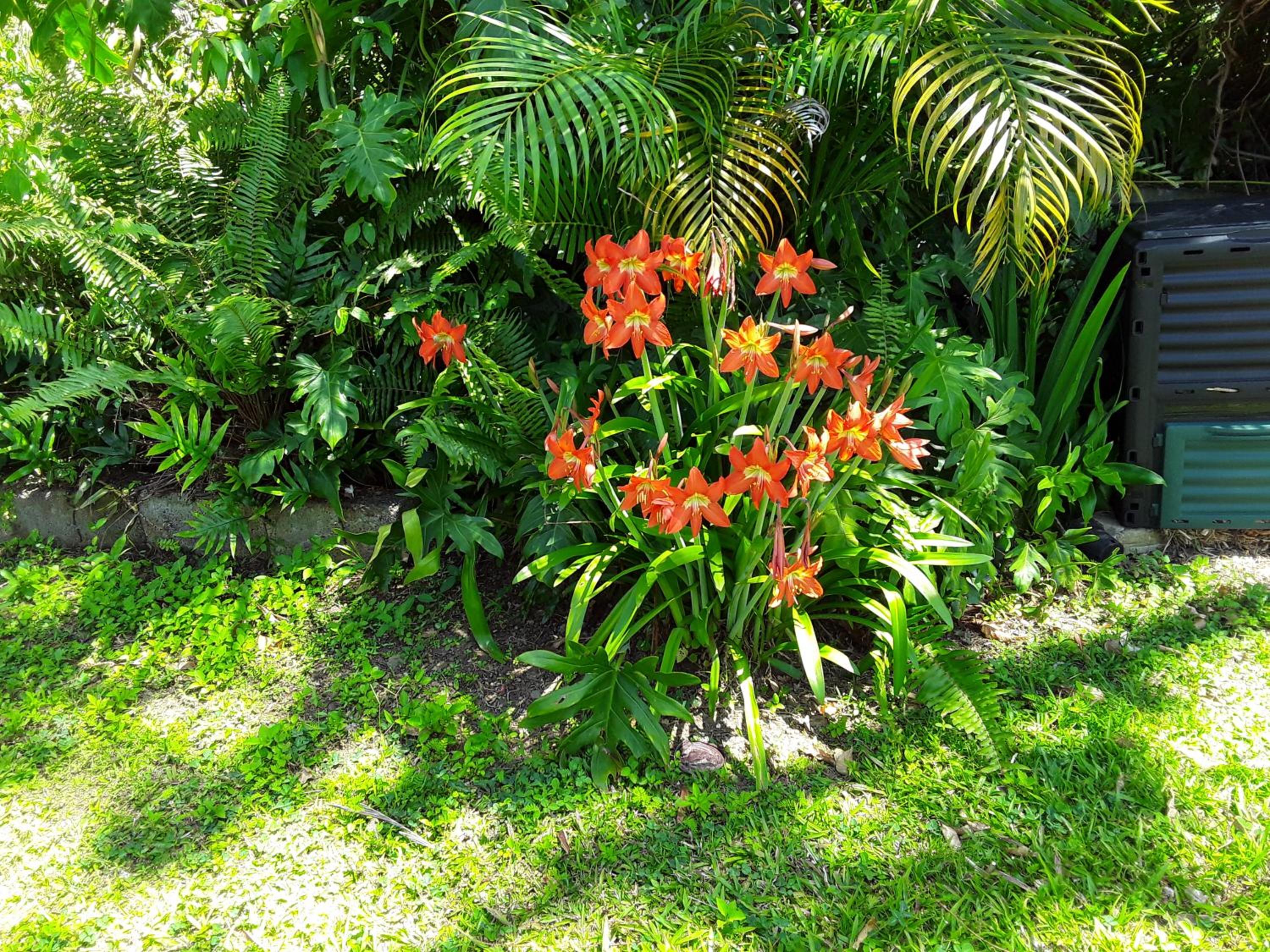La Siguine