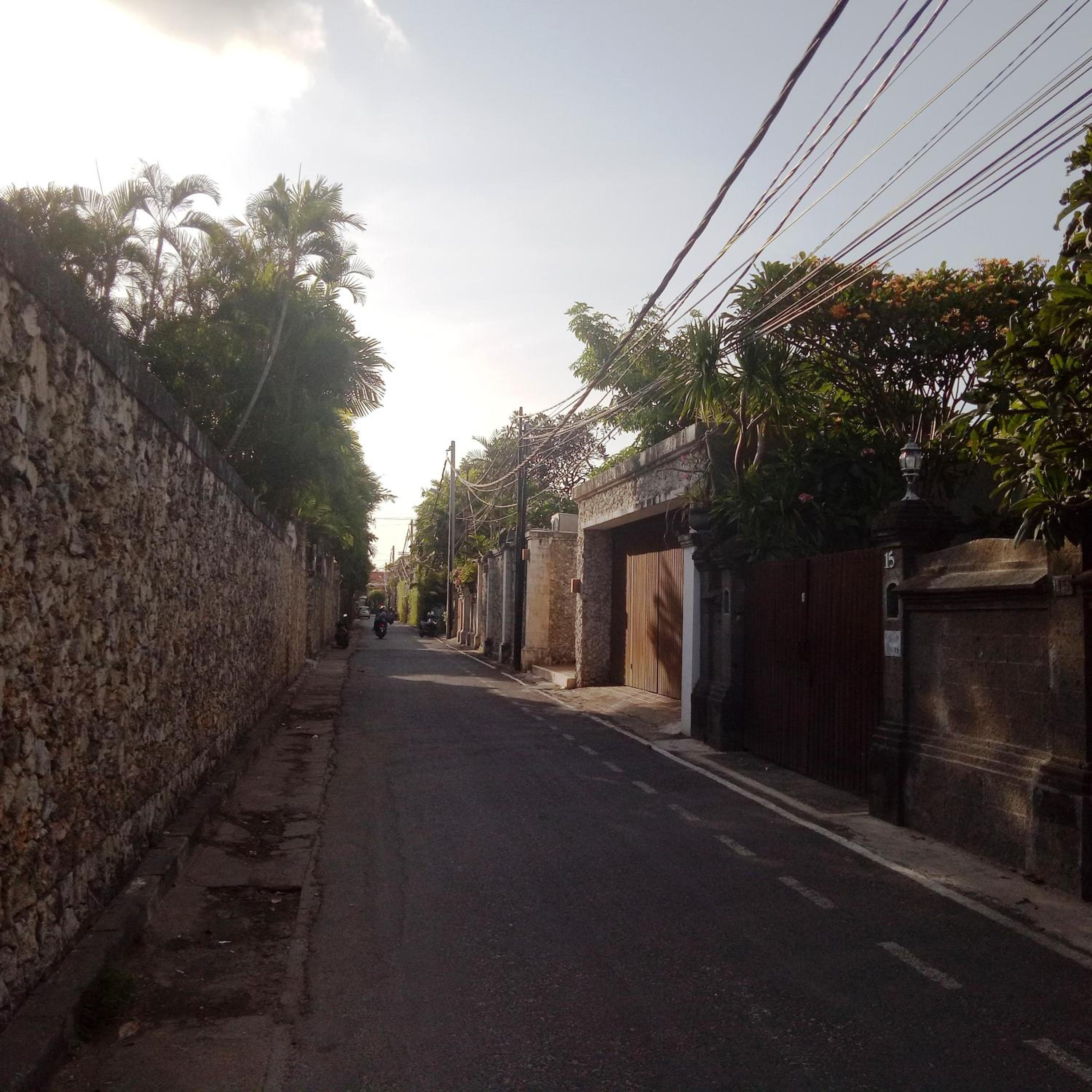 Photo 44