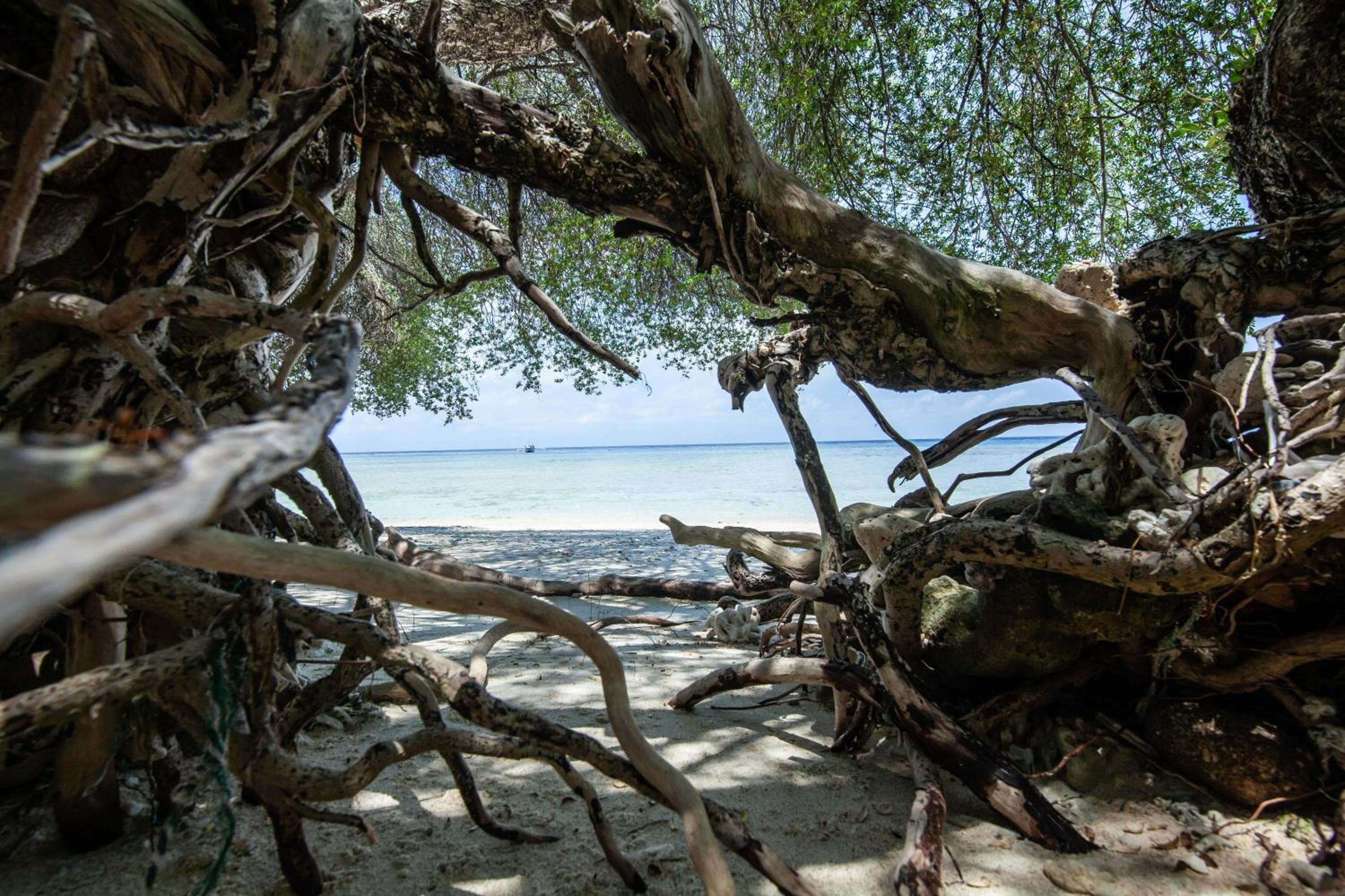 The Gili Beach Resort