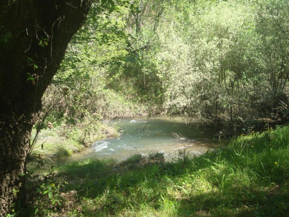 Photo 25