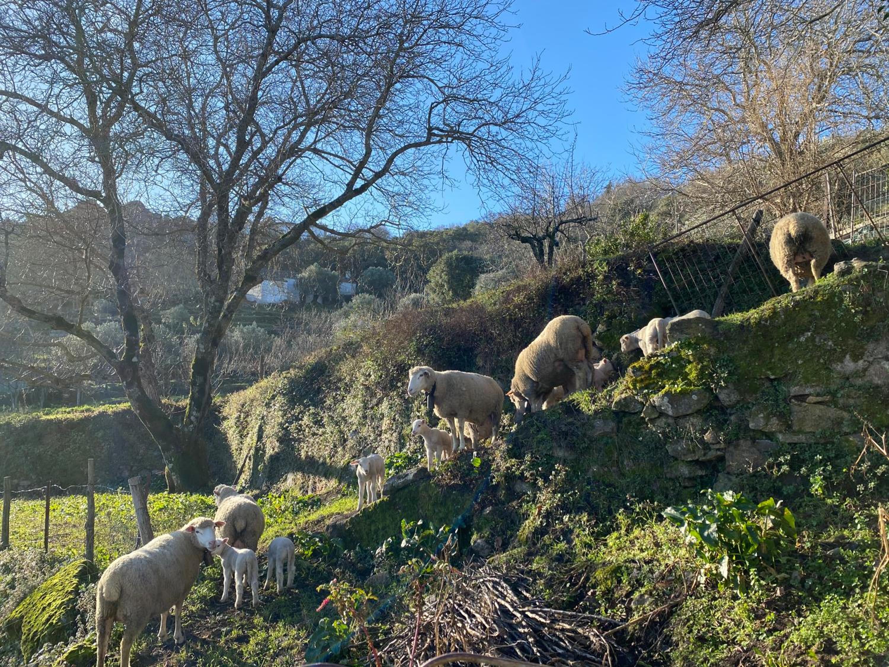 Photo 54