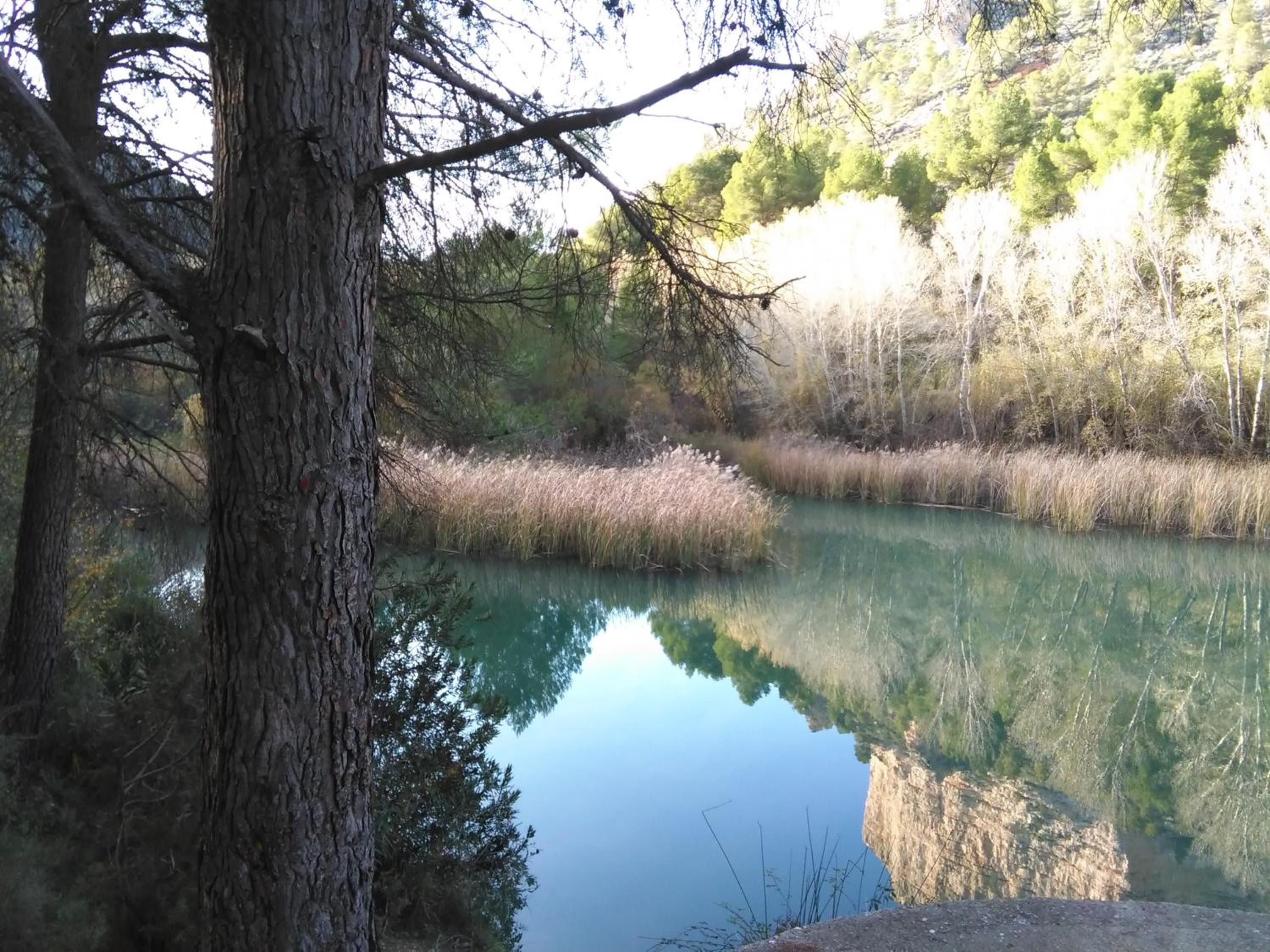 Casas rurales Las Rochas view 5