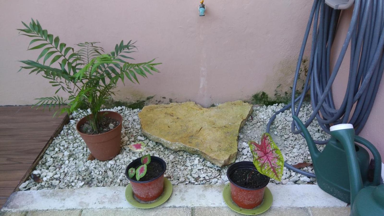 Photo 48