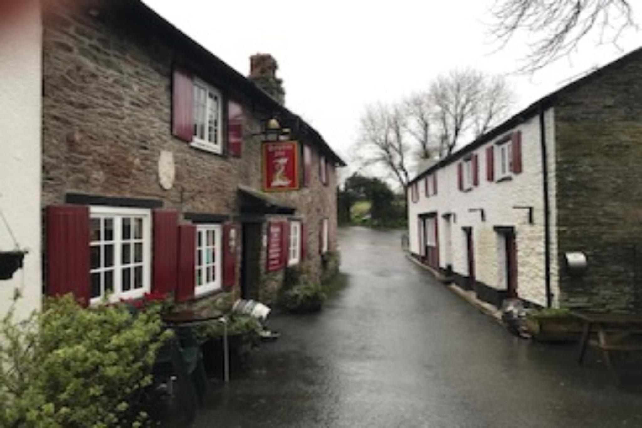 The Dolphin Inn