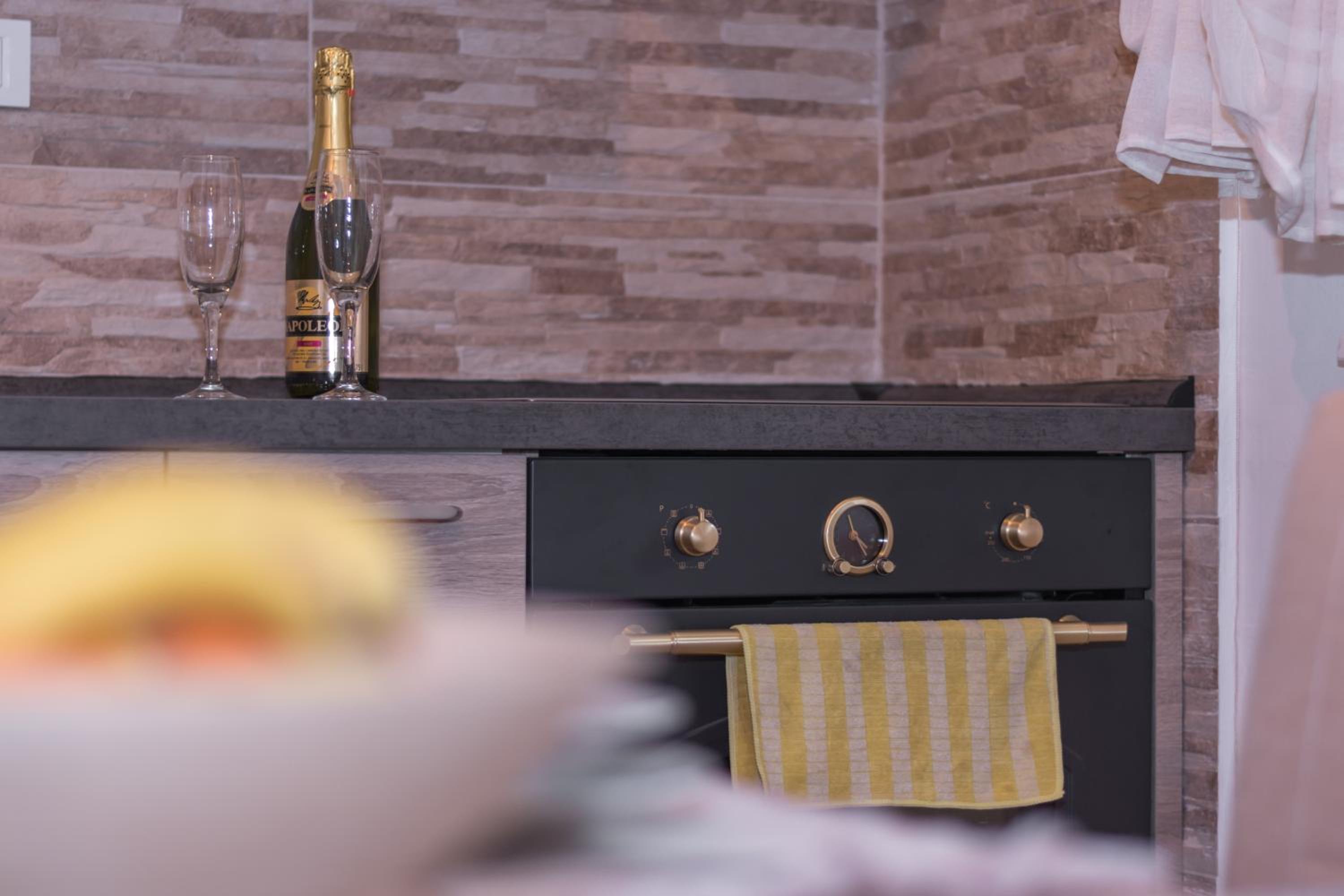 Modern Apartment Baćo with Jacuzzi view 4