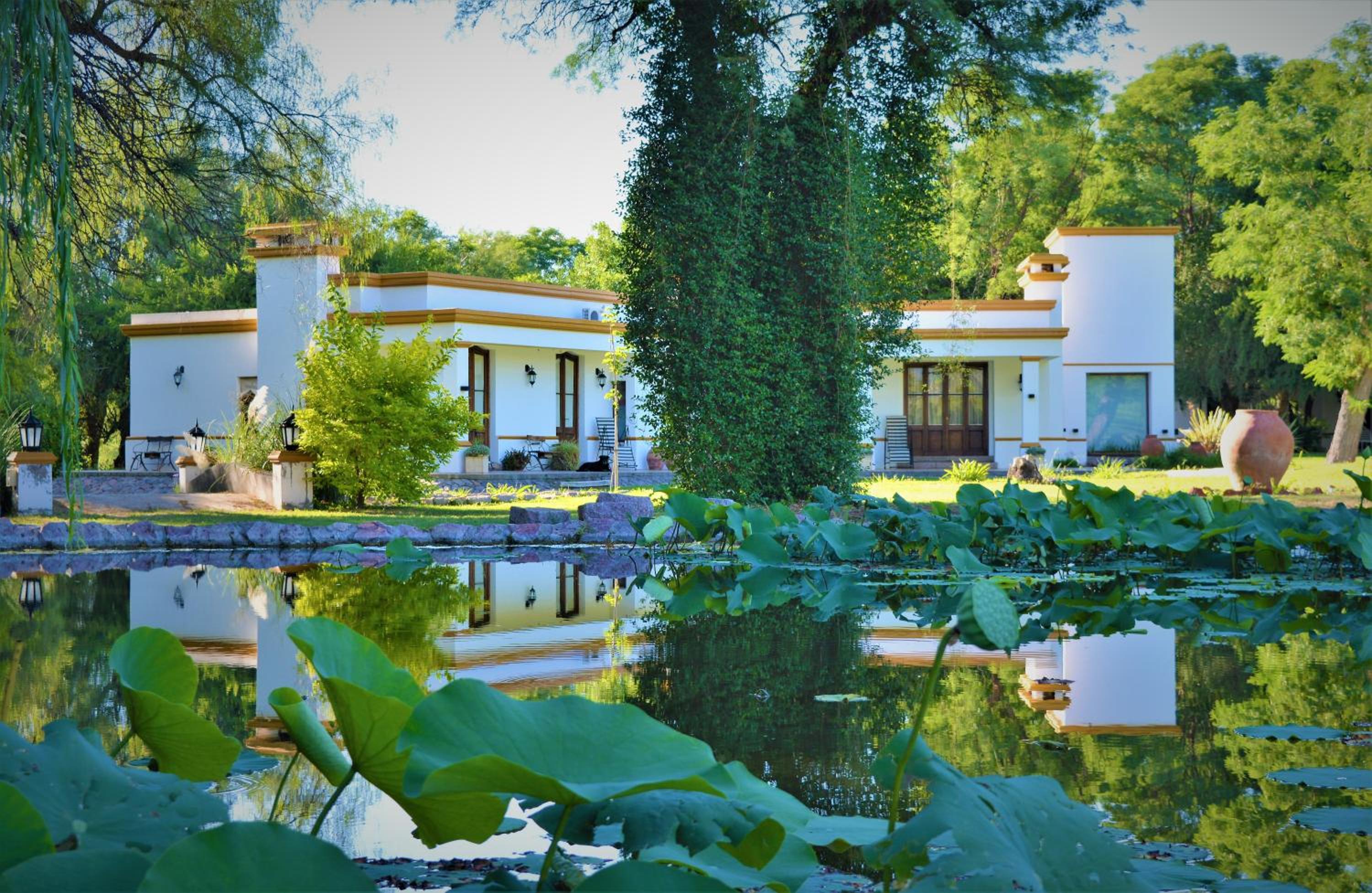 Estancia del Olivo