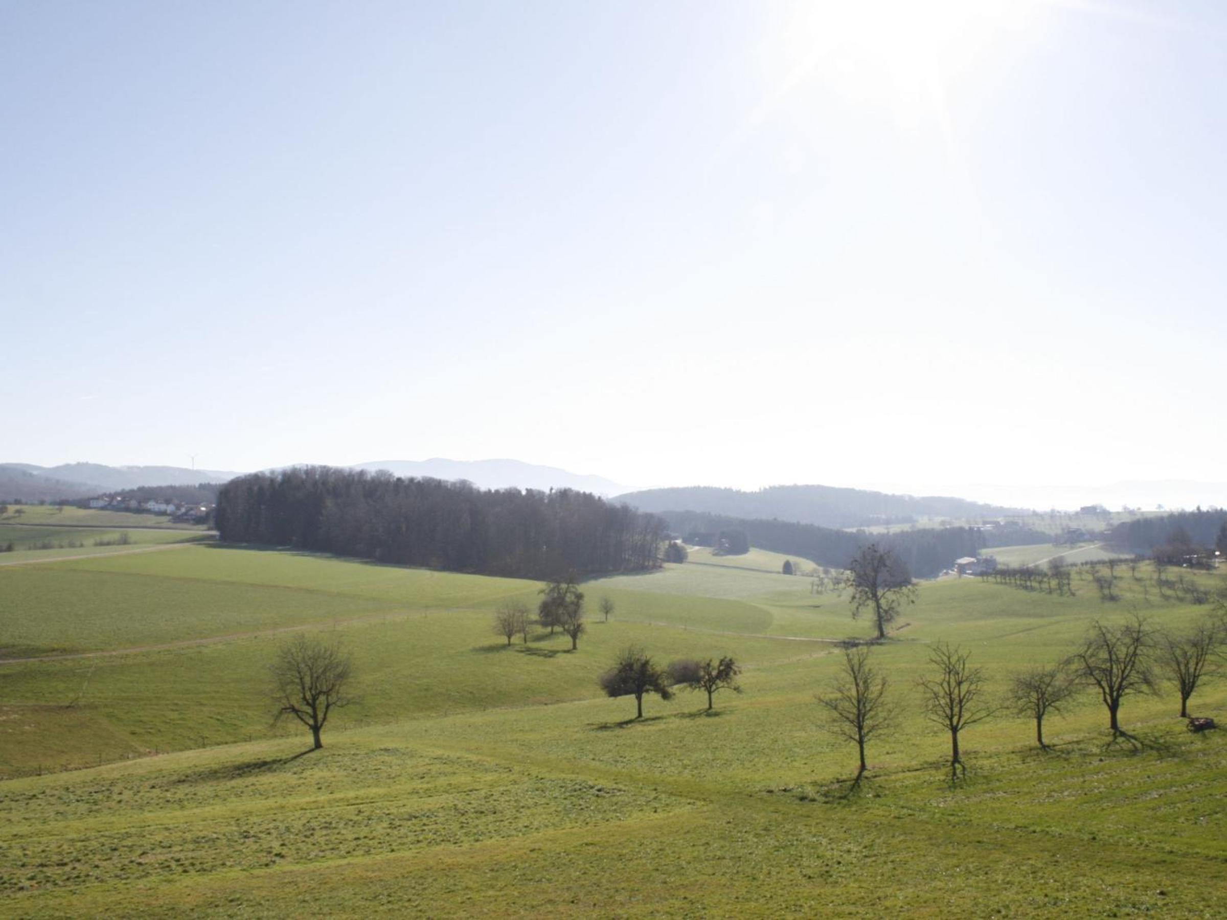 Ferienwohnung Weitblick en Freiamt — other