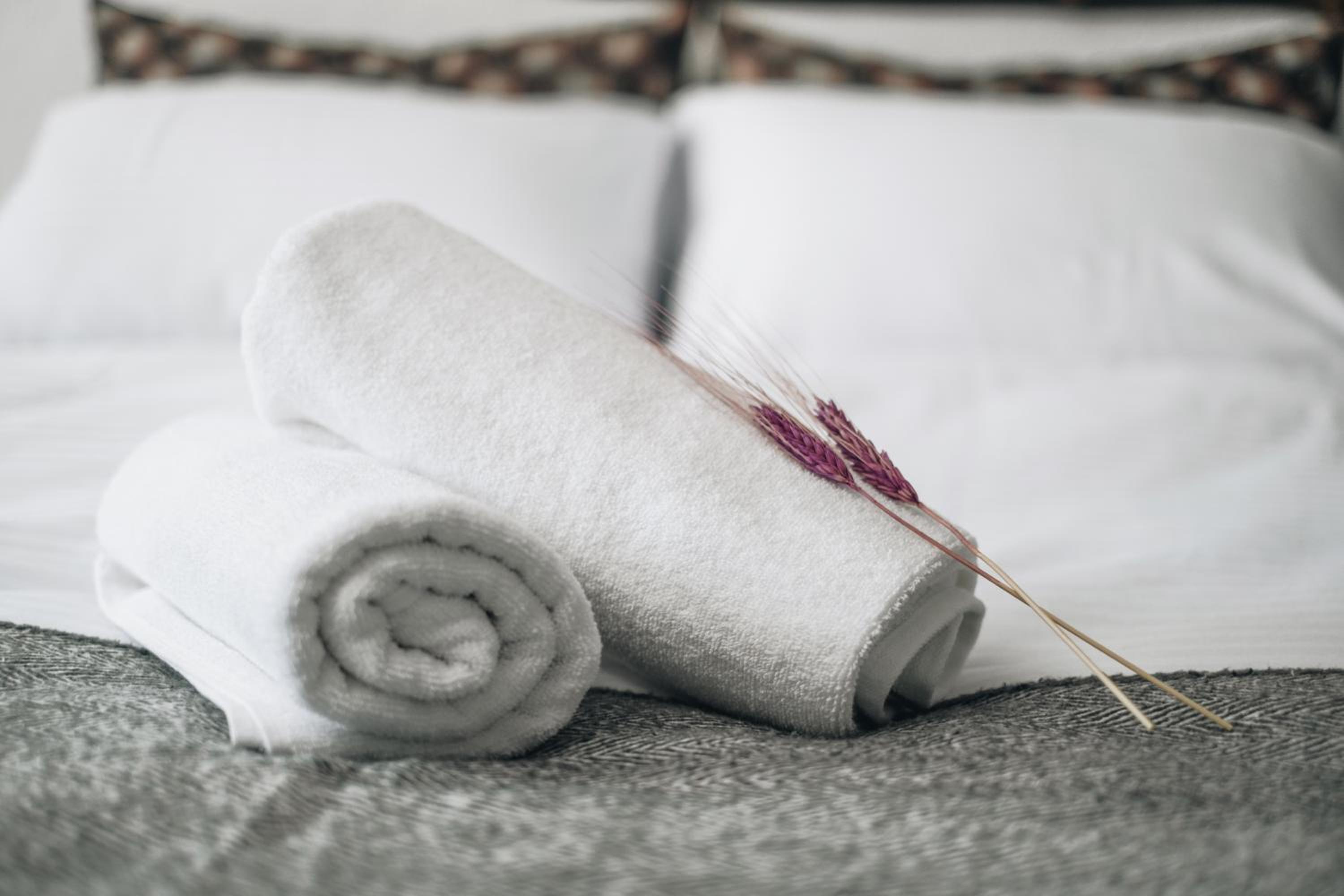 PANDAN KARAKOY SUİT - Image 19