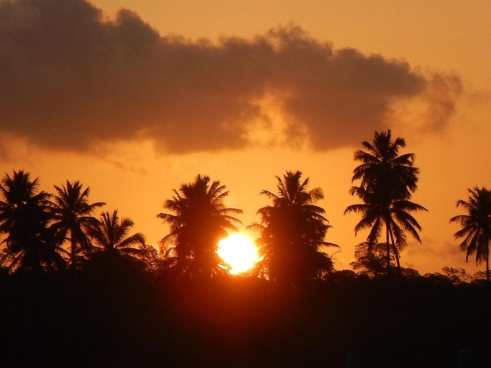 Solar Teixeira FLATS