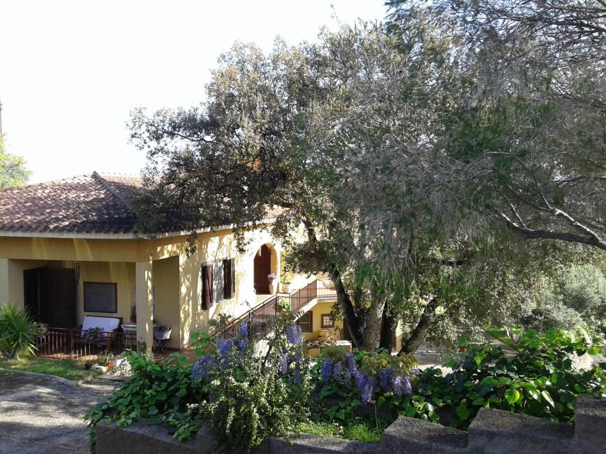 Photo 27