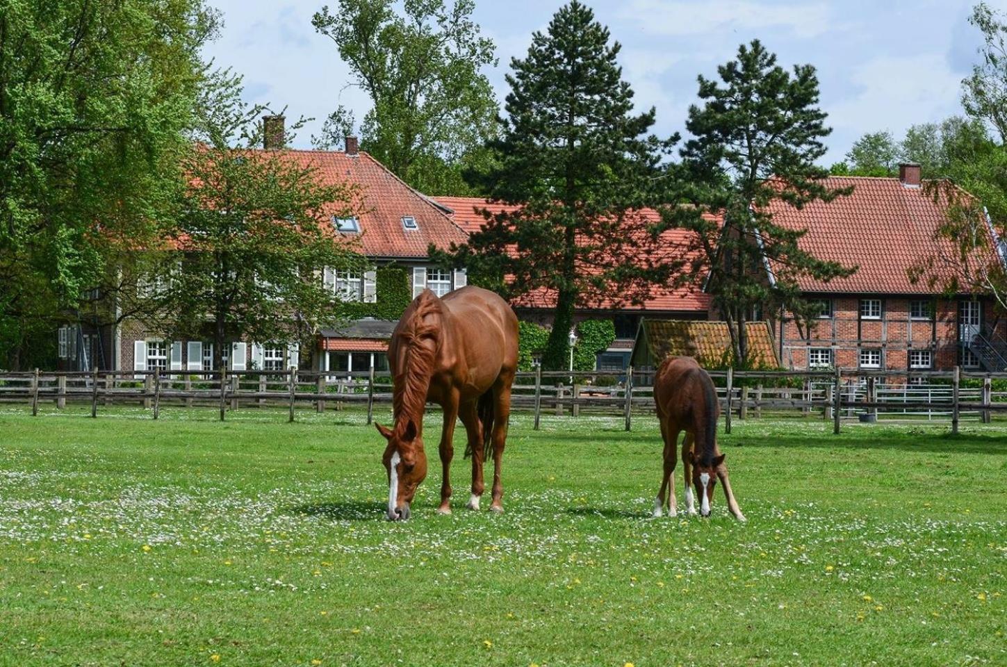 Ferienwohnungen Georgenbruch