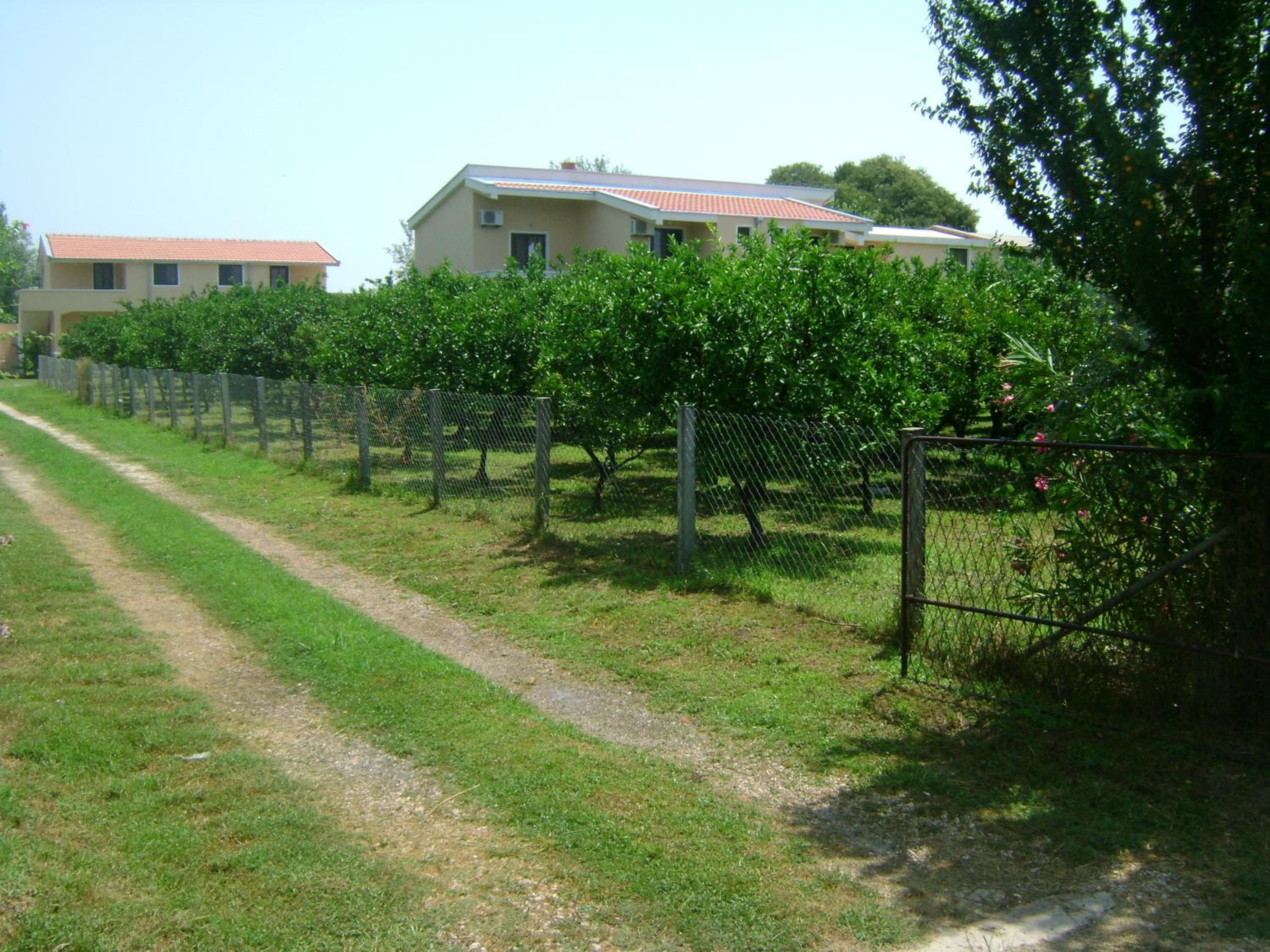 Photo 44
