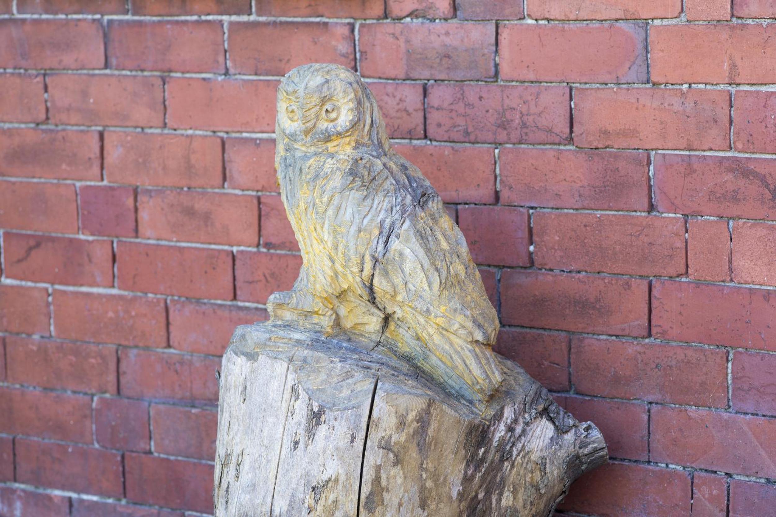 Photo 8