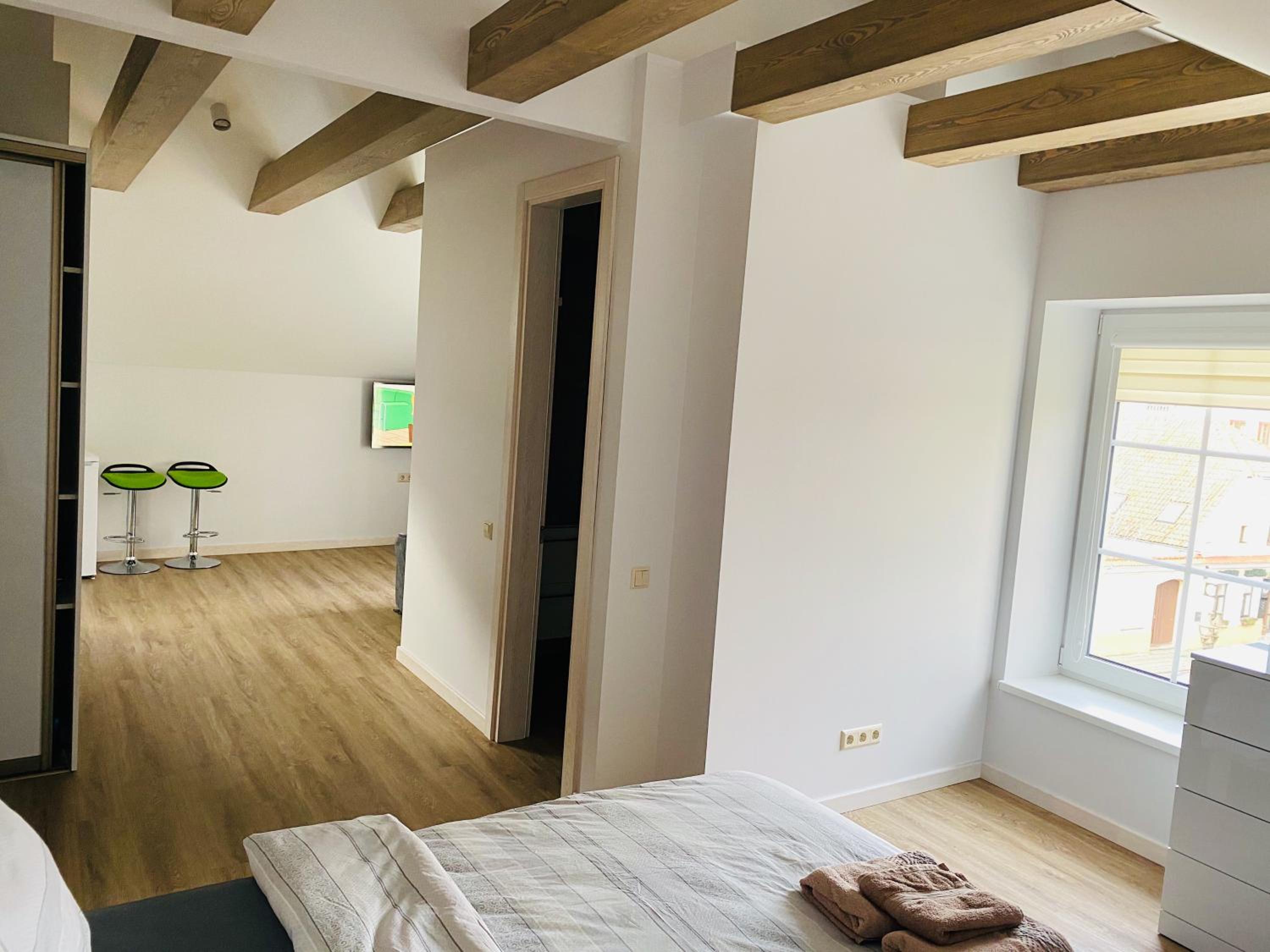 Kaunas Castle Apartments - Studio view 4
