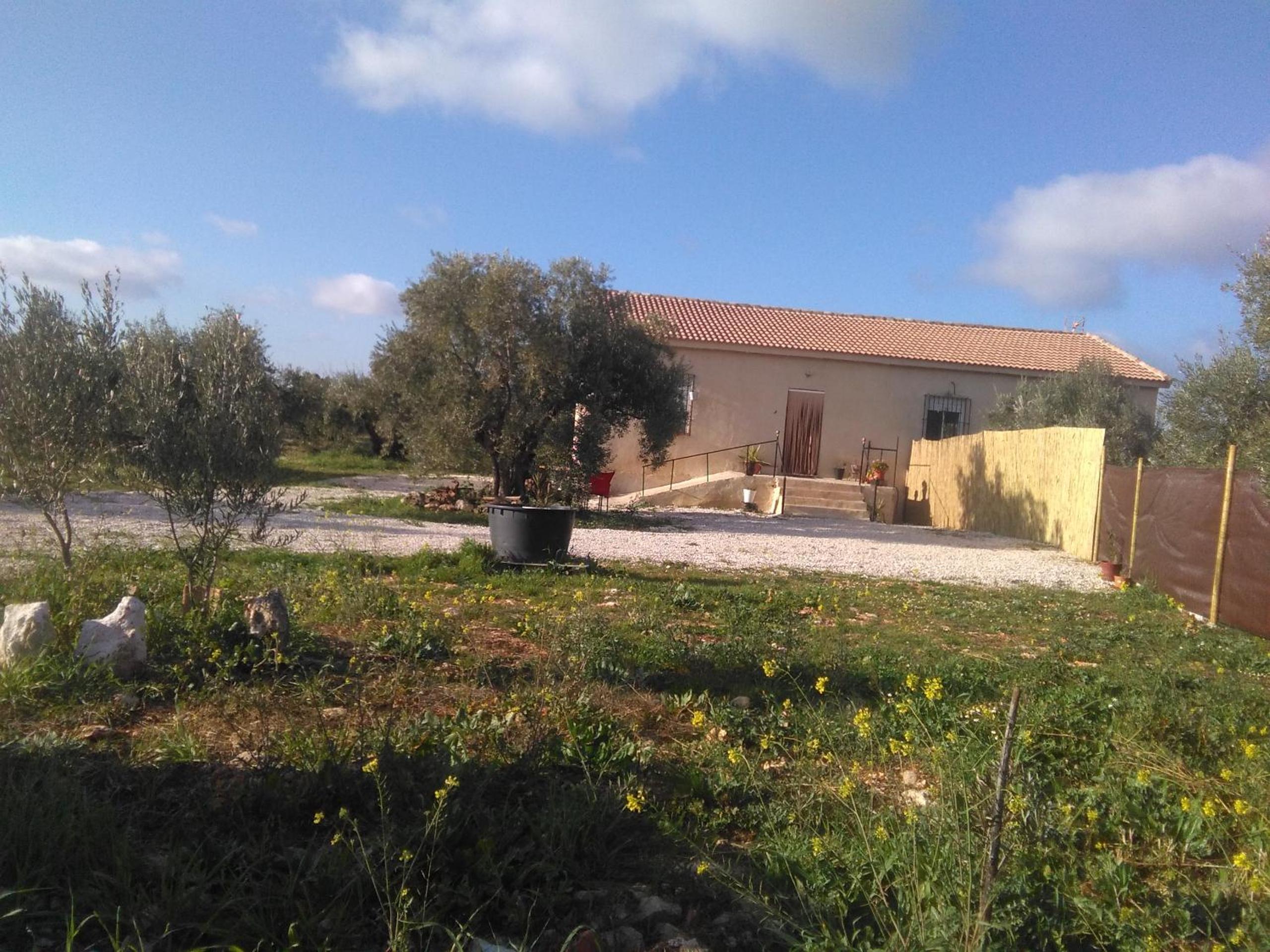Photo 28