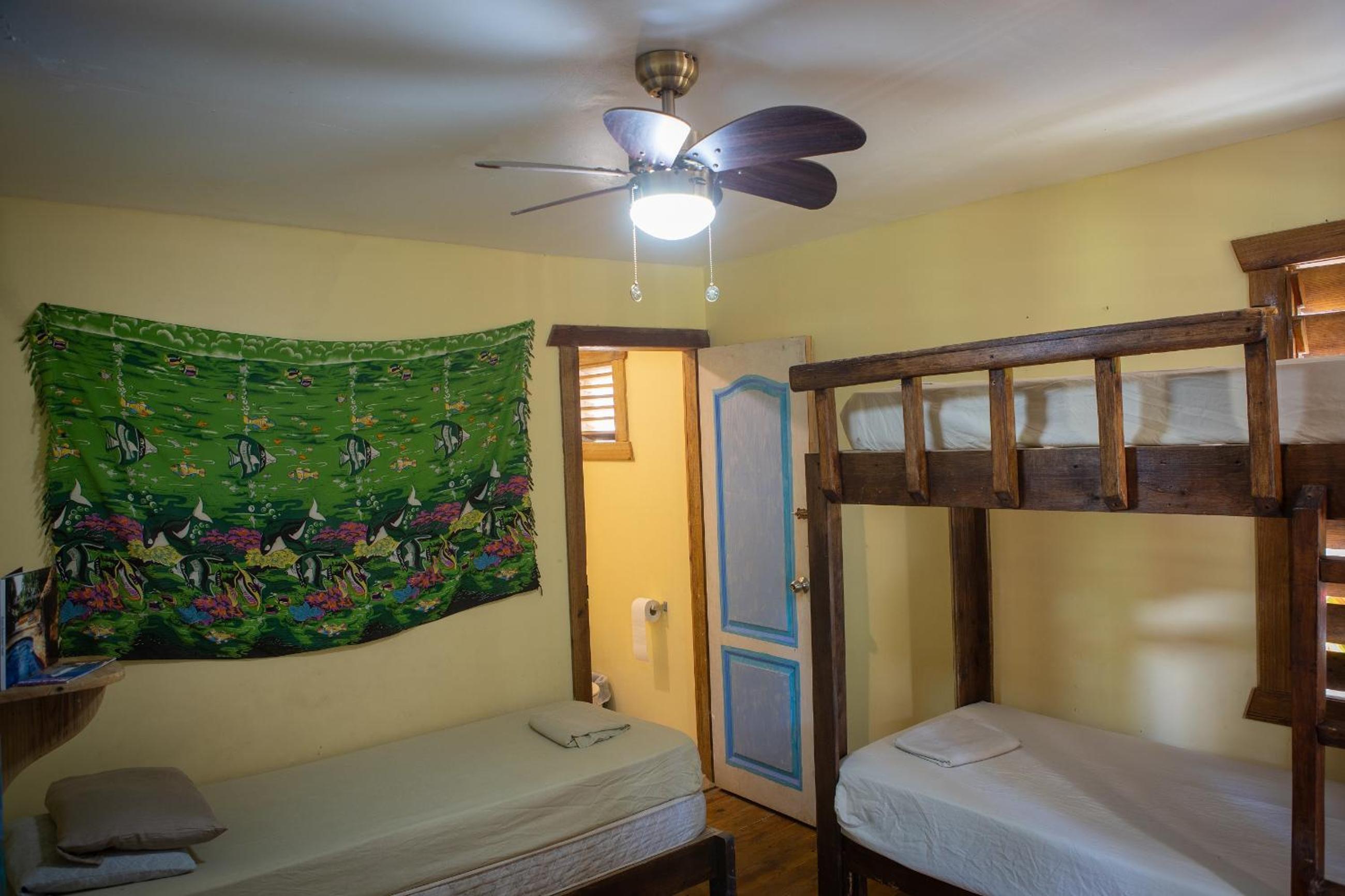 Roatan Backpackers' Hostel view 2