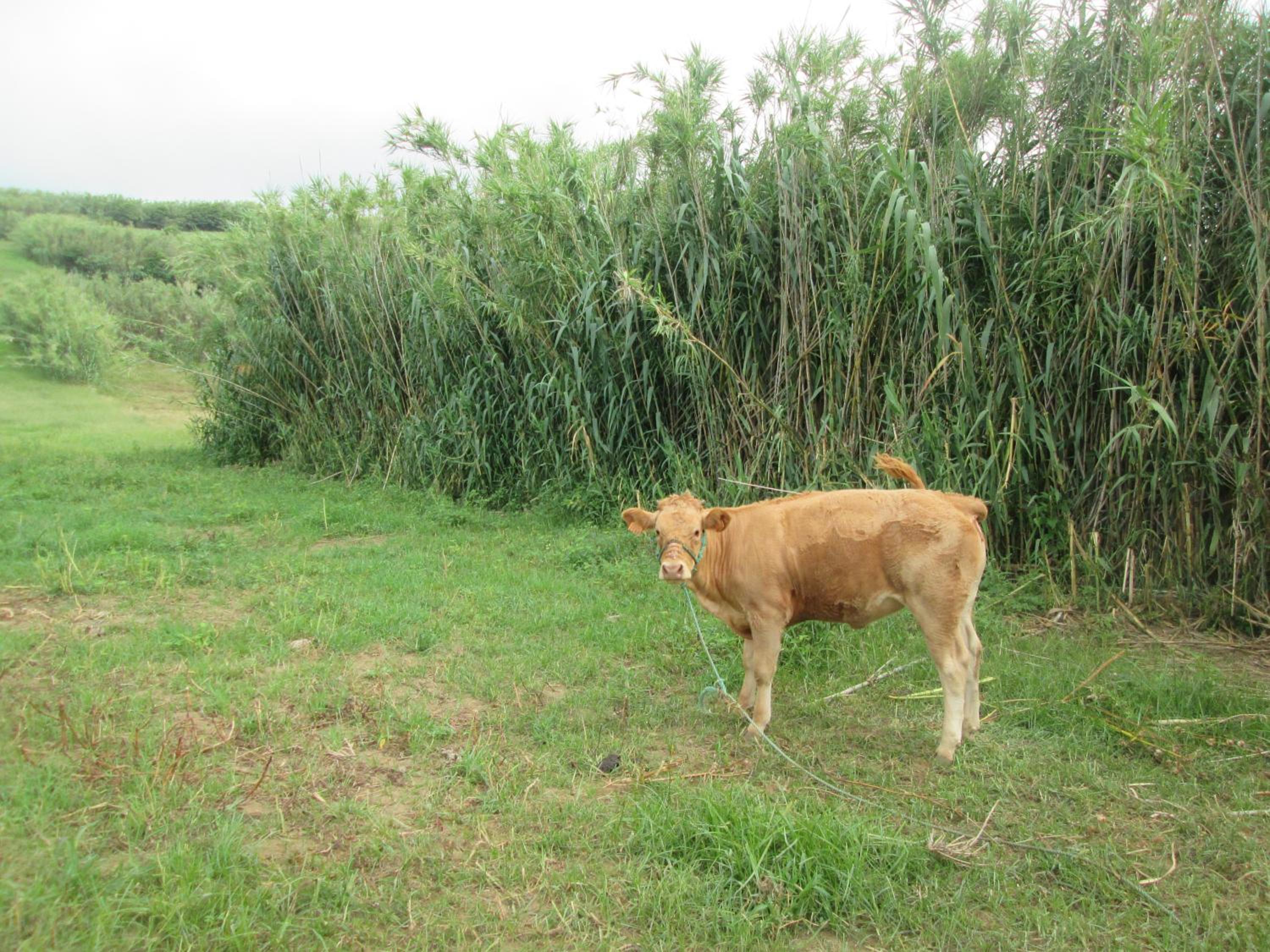 Photo 8