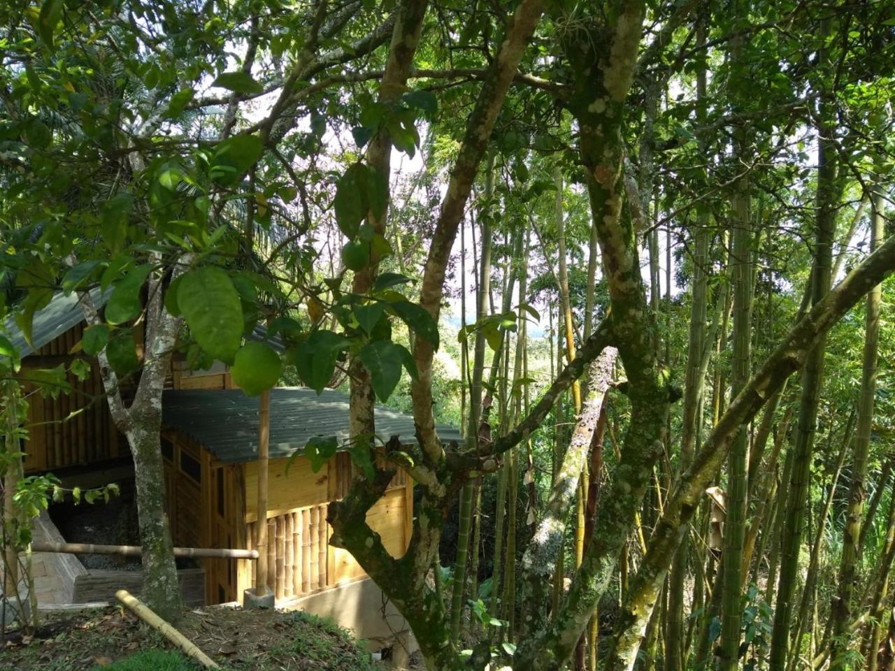 Finca Colibrí Zafiro, Altos del Rosario