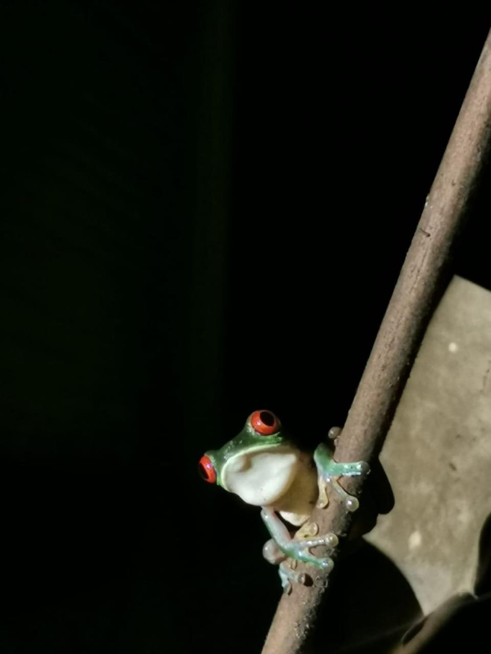Photo 37