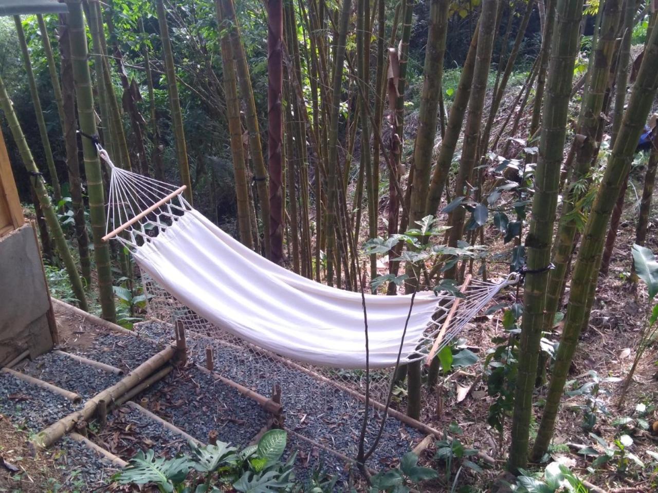 Finca Colibrí Zafiro, Altos del Rosario