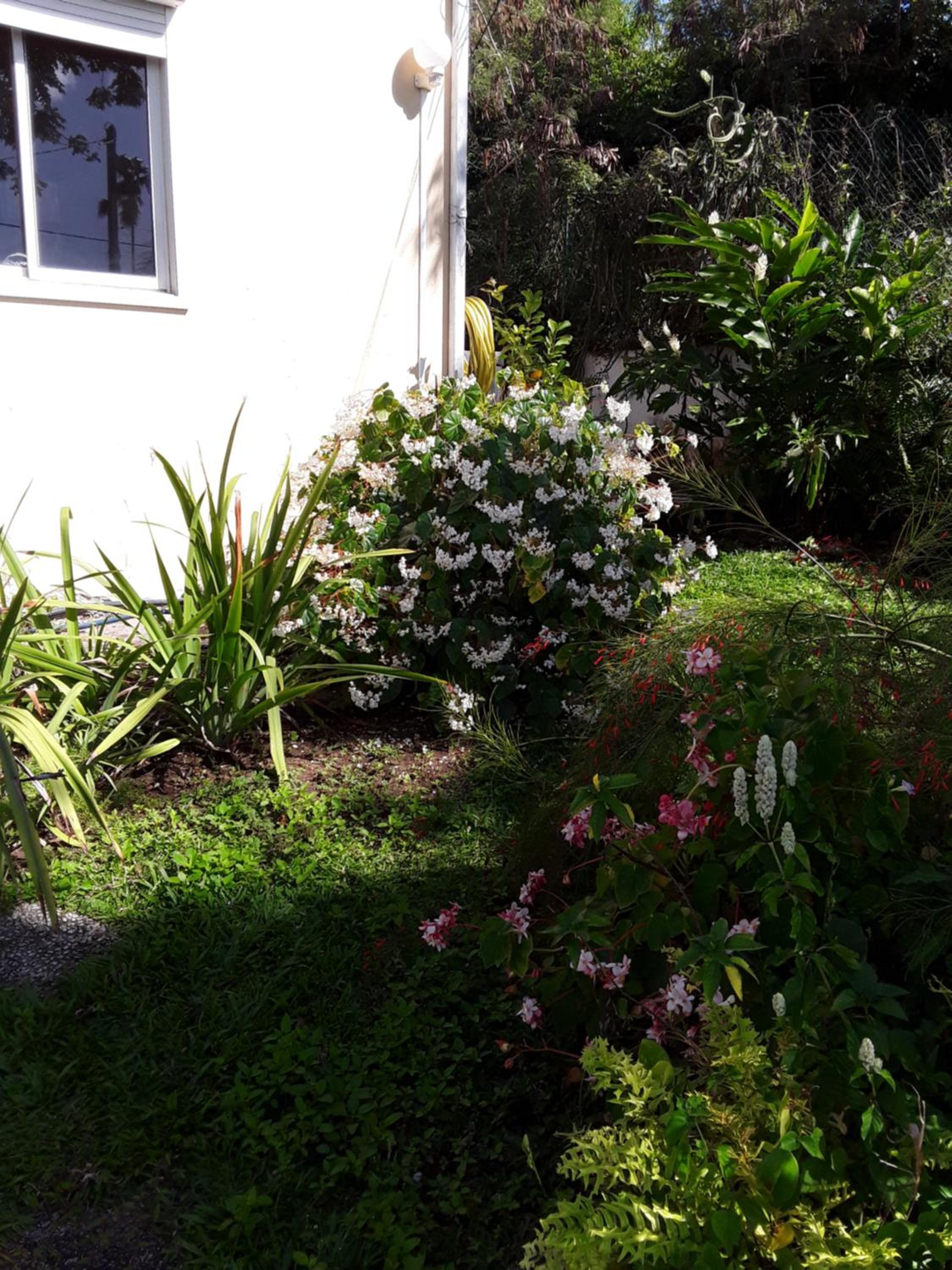 La Siguine