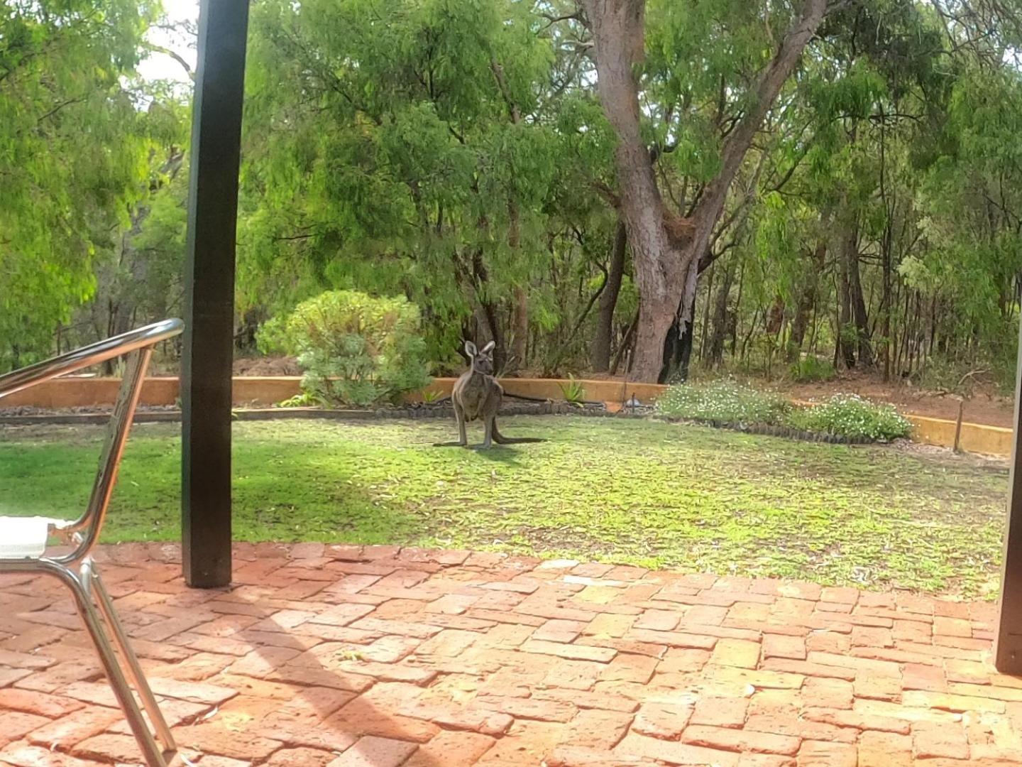 Yallingup Pet Friendly Bush Retreat