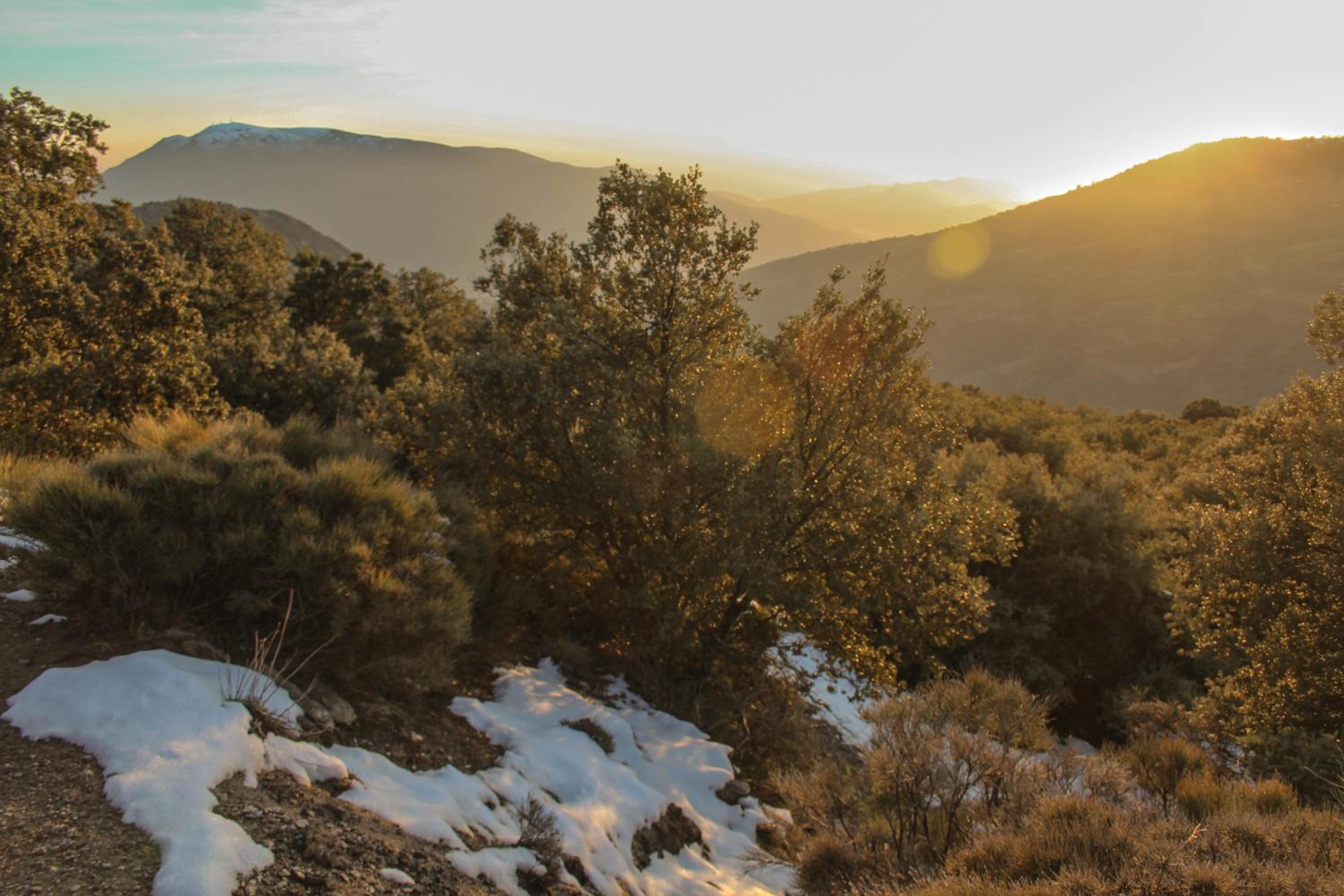 Casa Rural Catifalarga Alpujarra