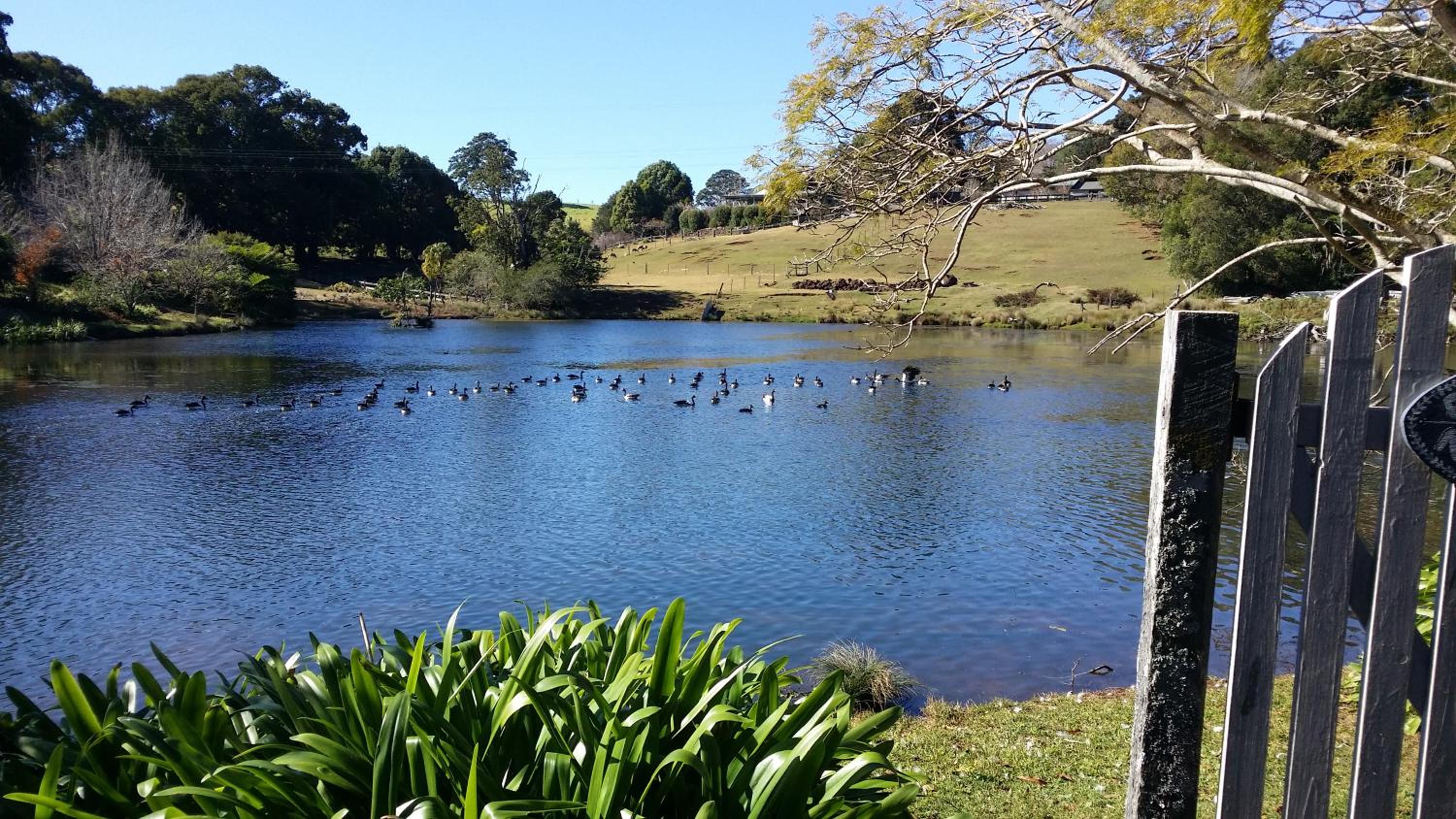Maleny Homestead & Cottage