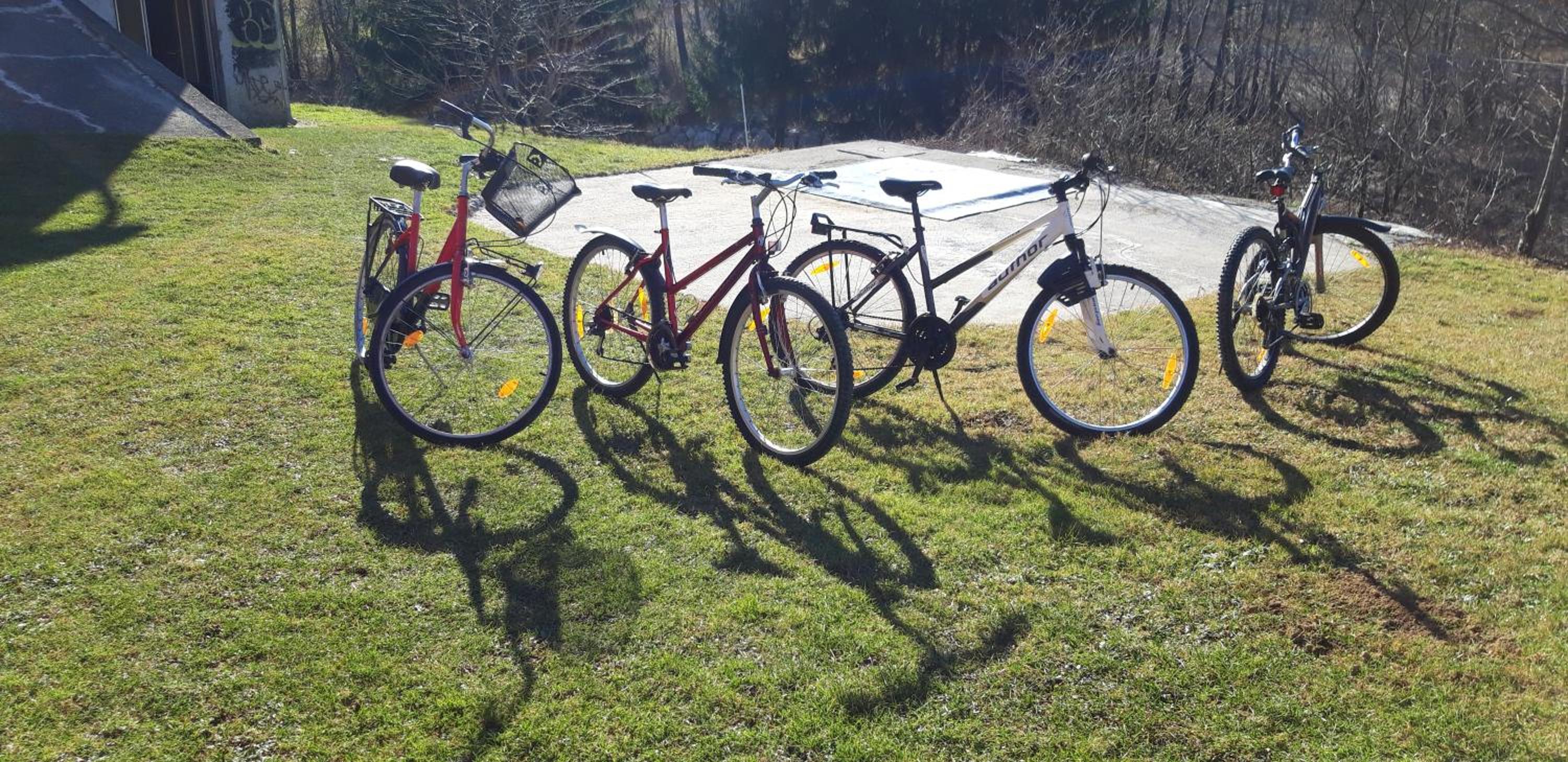 Photo 14