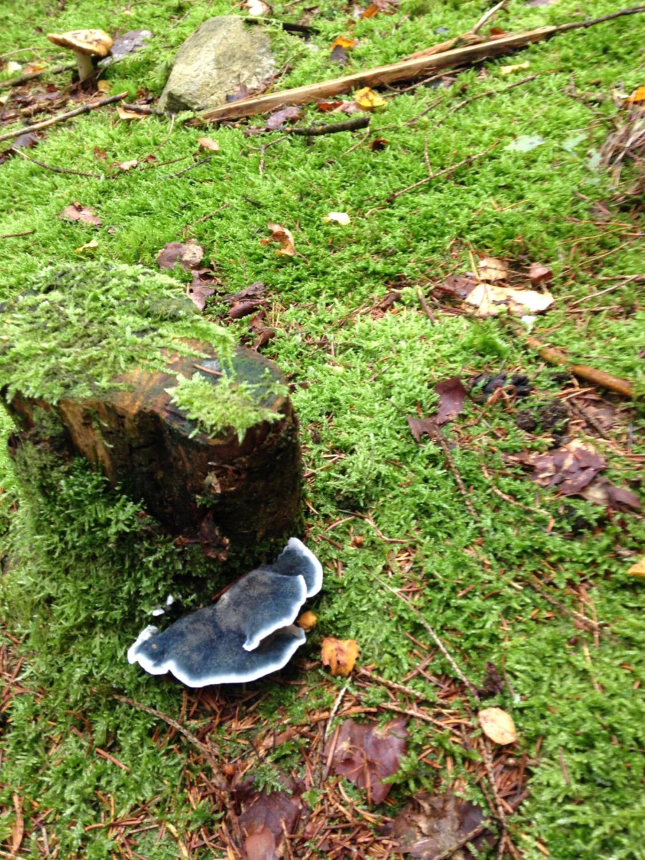 Photo 20