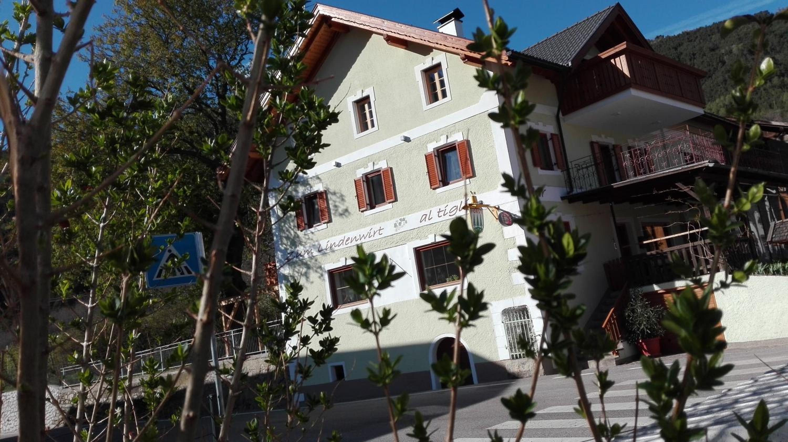 Zum Lindenwirt - Al Tiglio photo 5