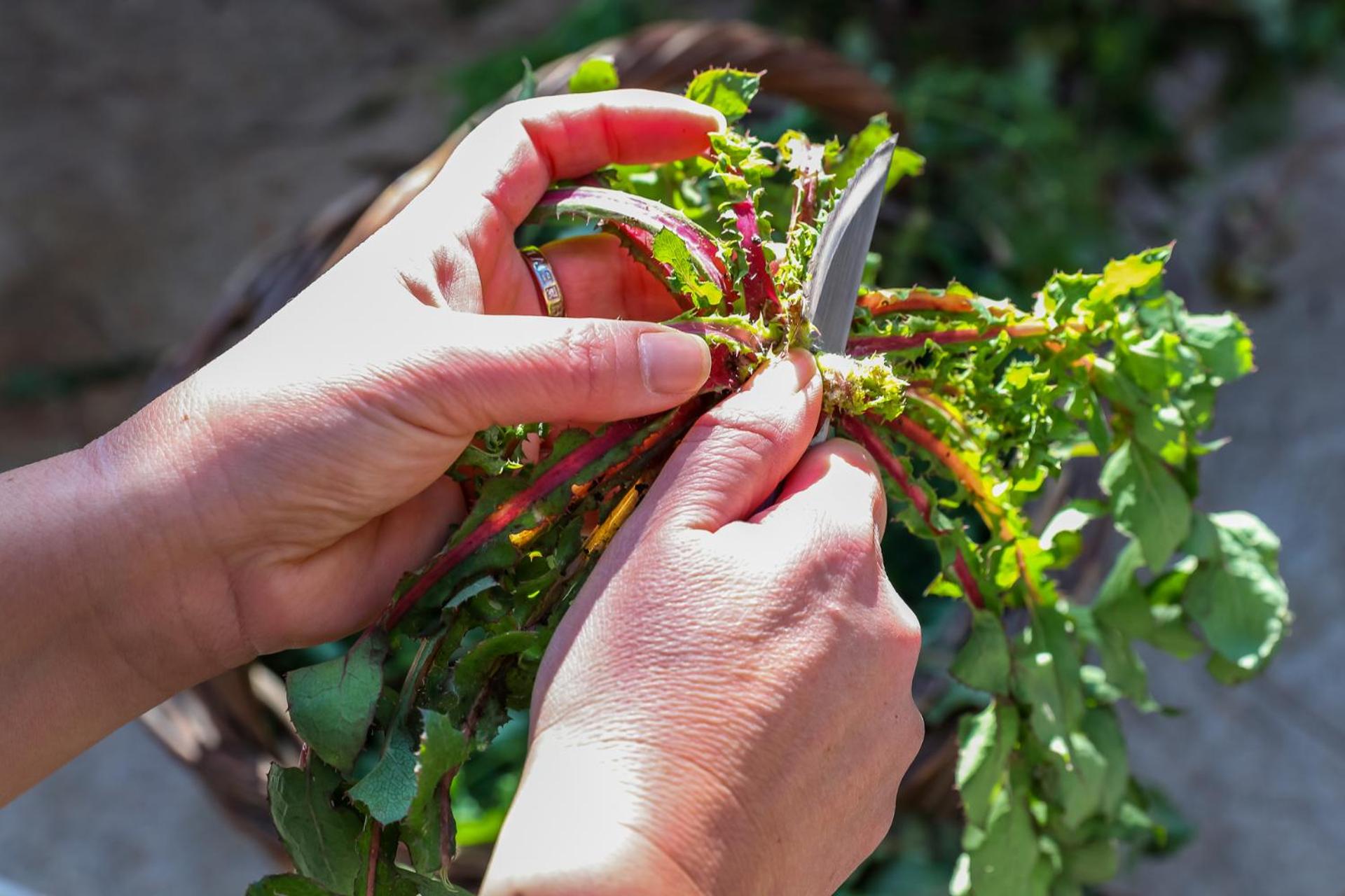 Fasolaki Skopelos - Eco Residences photo 4