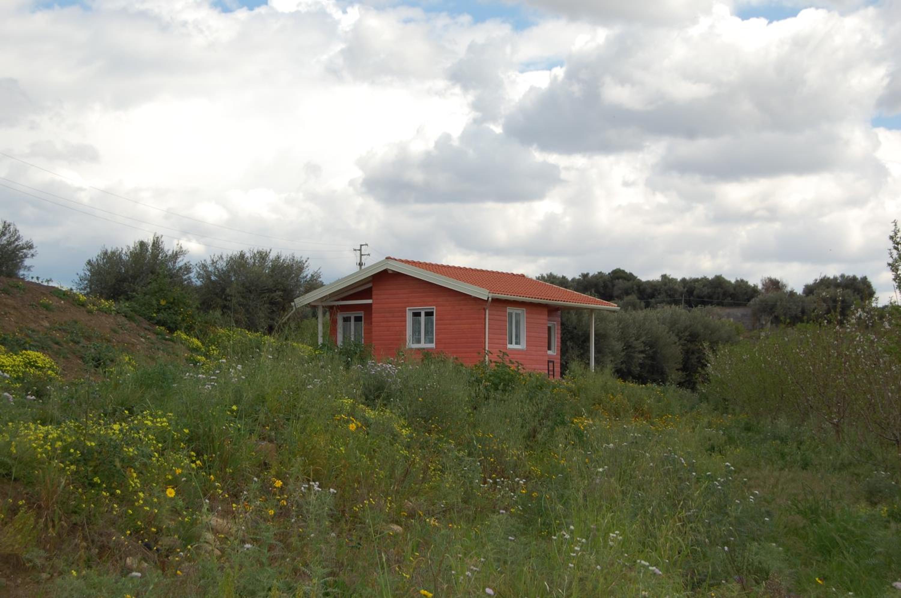 Photo 21