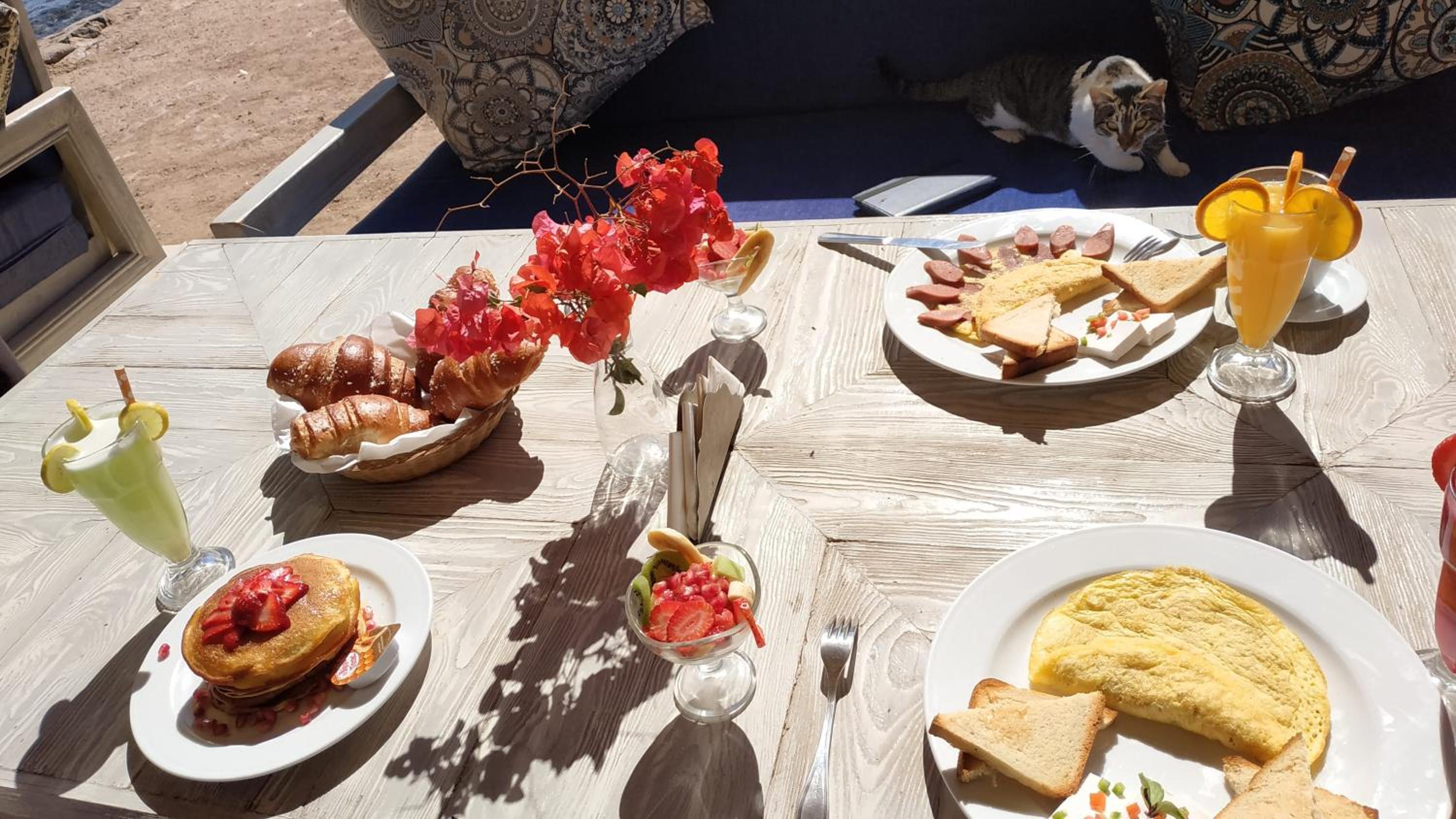 Shams Hotel & Dive Centre