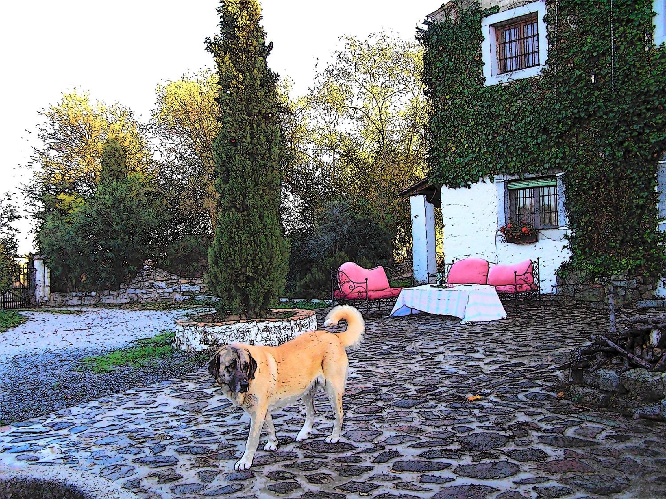 Casa Rural Cortijo del Zoco Bajo