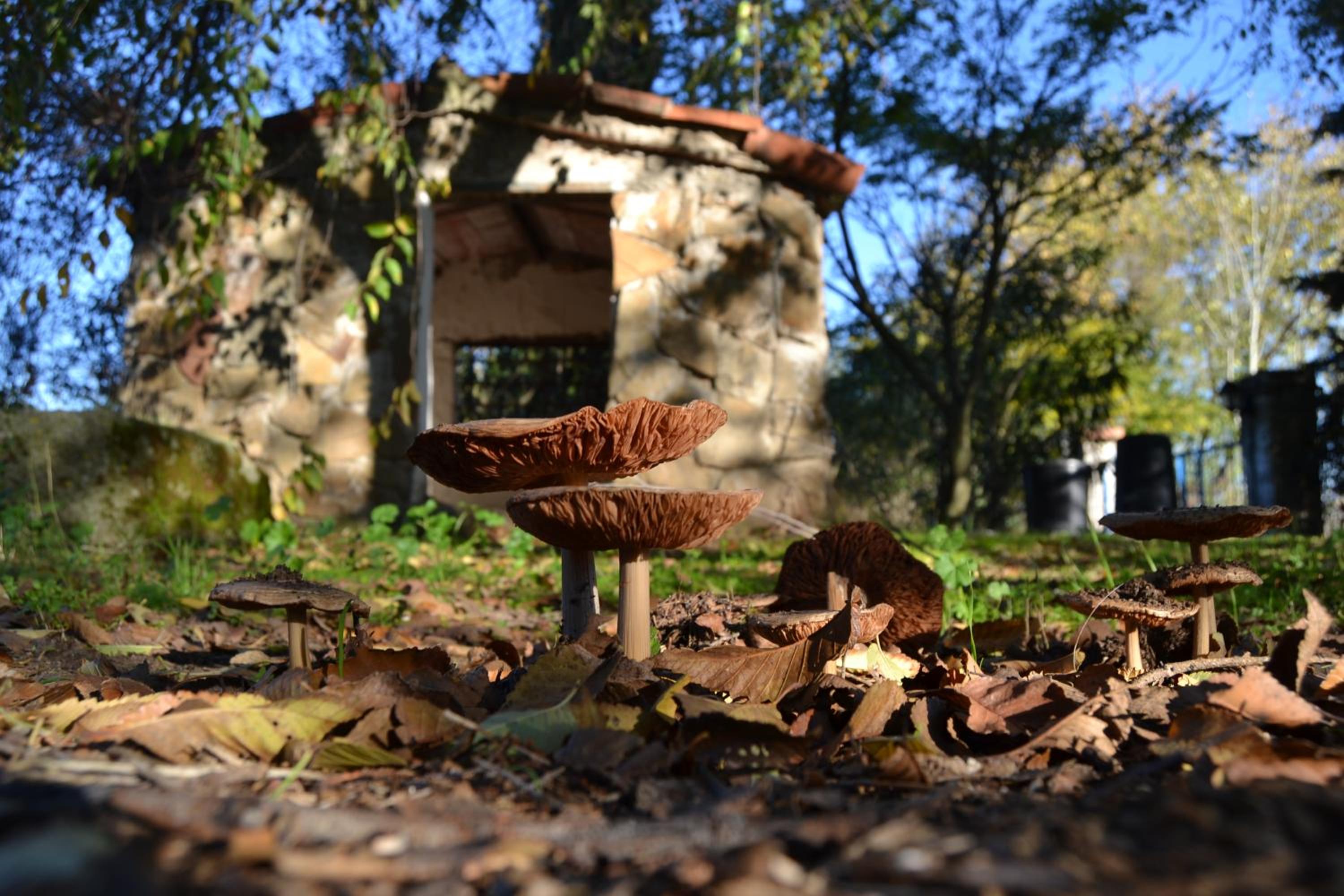 Casa Rural Cortijo del Zoco Bajo