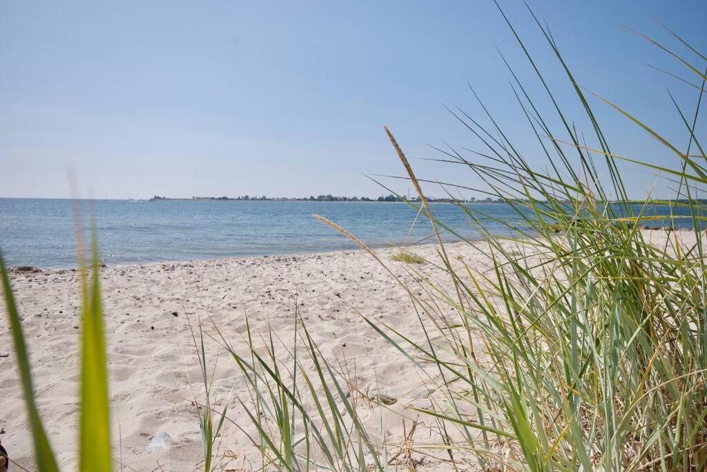 Strandhaus-Fehmarn, Captains-Deck direkt am Strand