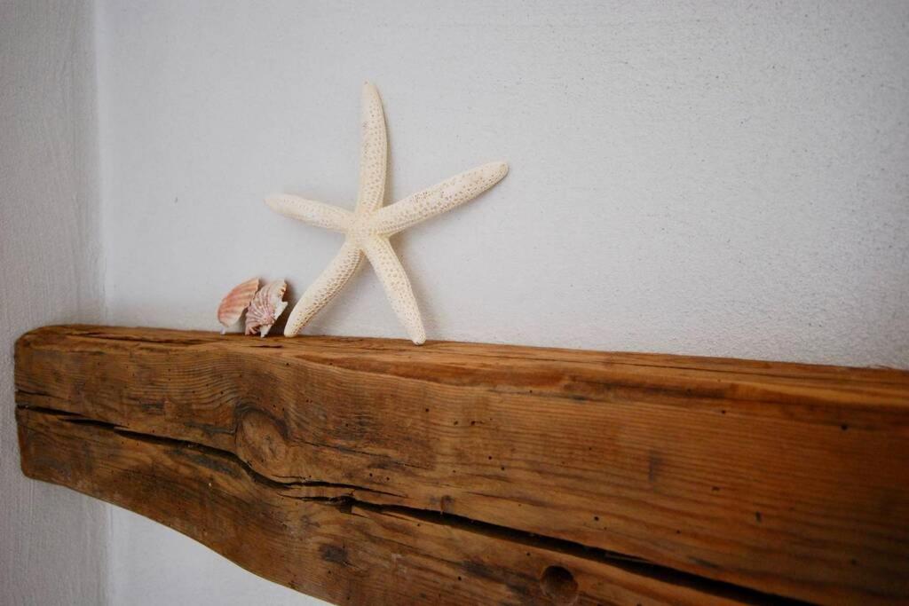 Strandhaus-Fehmarn, Captains-Deck direkt am Strand