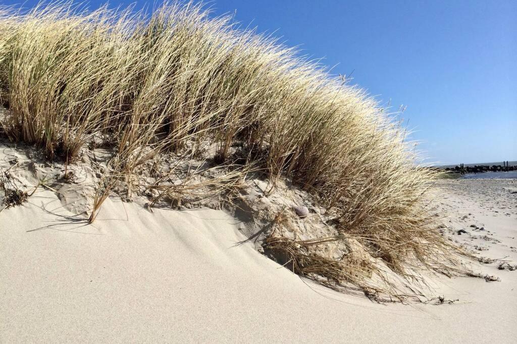 Strandhaus-Fehmarn, Captains-Deck direkt am Strand