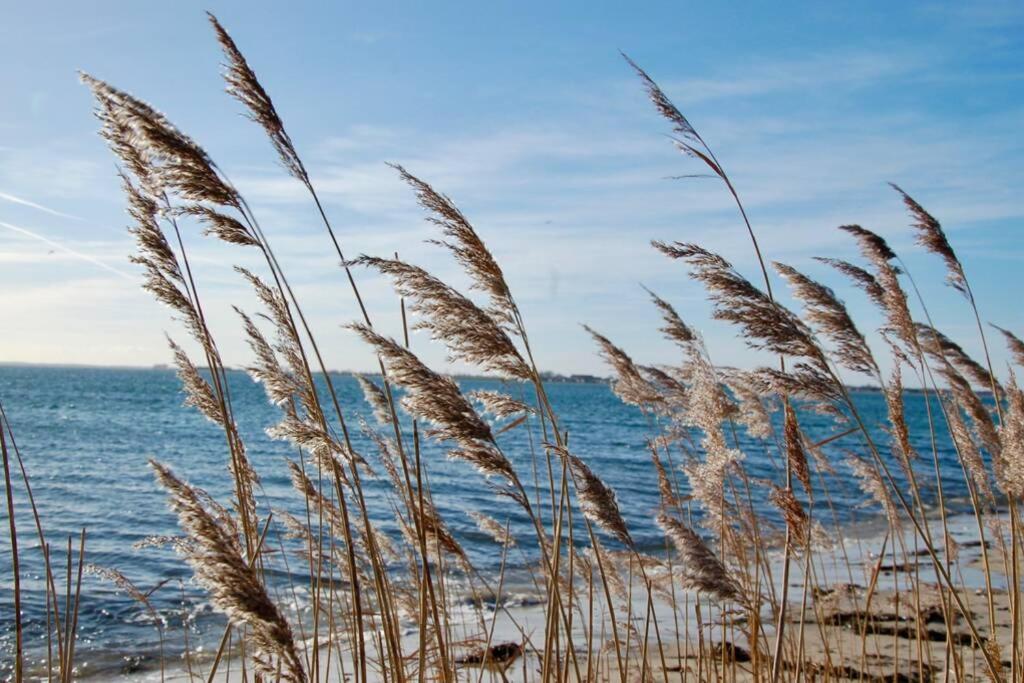 Strandhaus-Fehmarn, Captains-Deck direkt am Strand