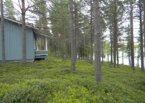 Lomakylä Atimo