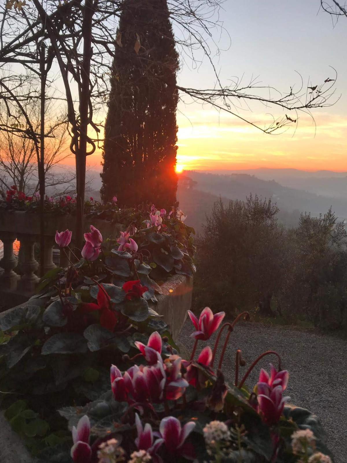 Villa La Piccioncina Firenze