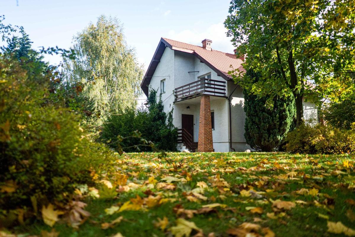 Photo 48