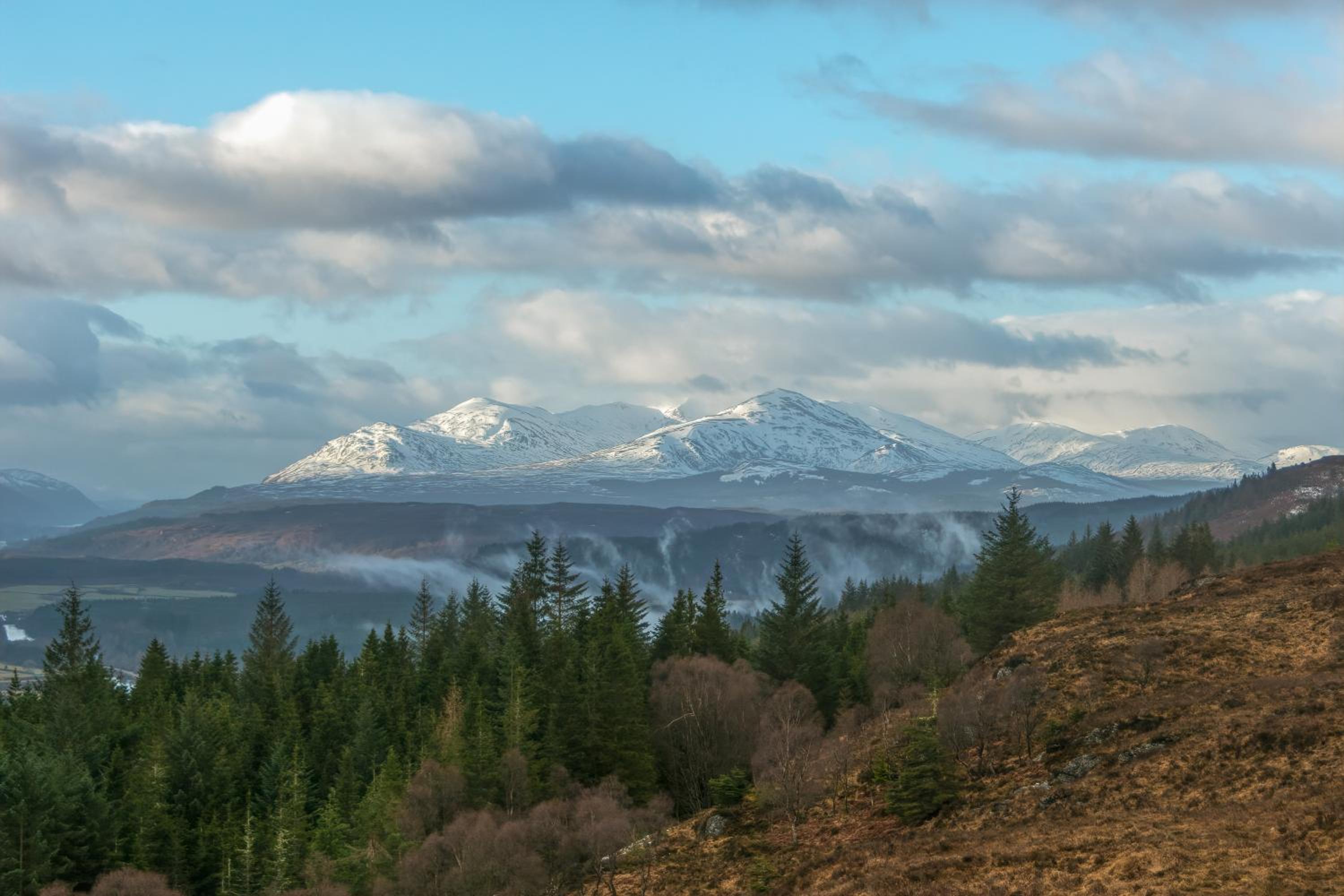 Lann Dearg Studios