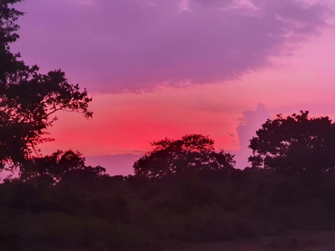 Hotel Duncan Murray Villa - Image 1